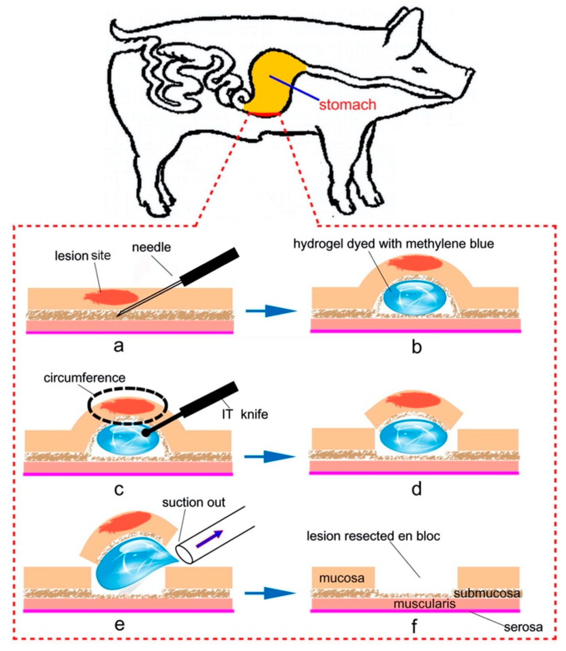 Bioengineering 06 00107 g006 Bioengineering 06 00107 g006