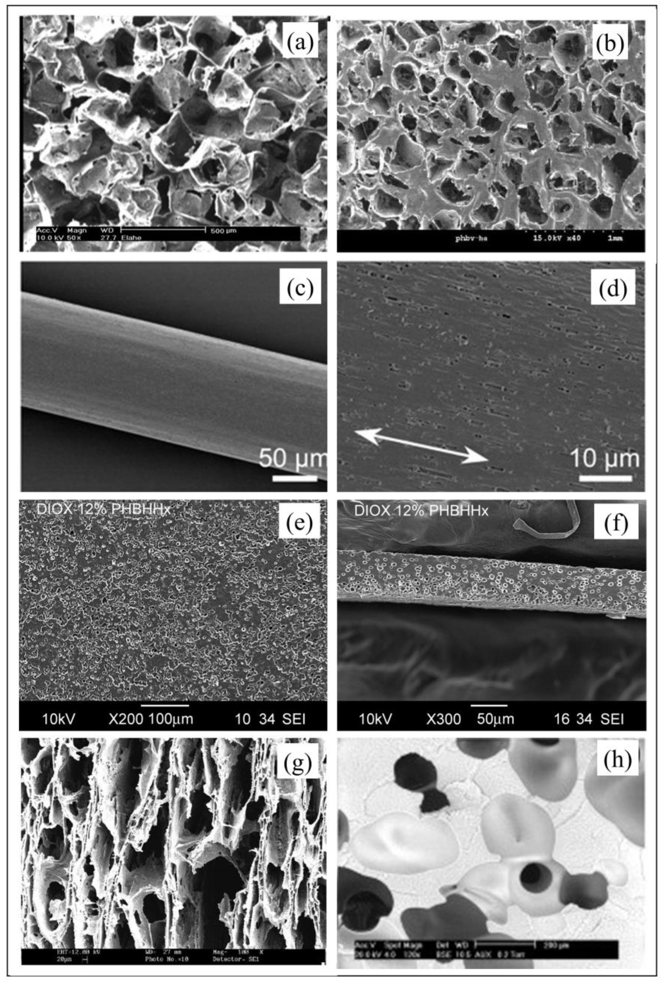 Bioengineering 06 00108 g003