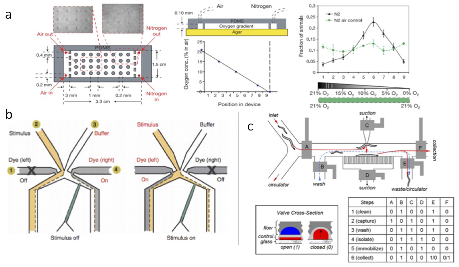 Bioengineering 06 00109 g007