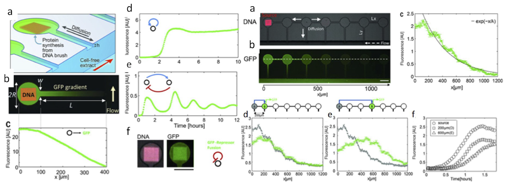 Bioengineering 06 00109 g009