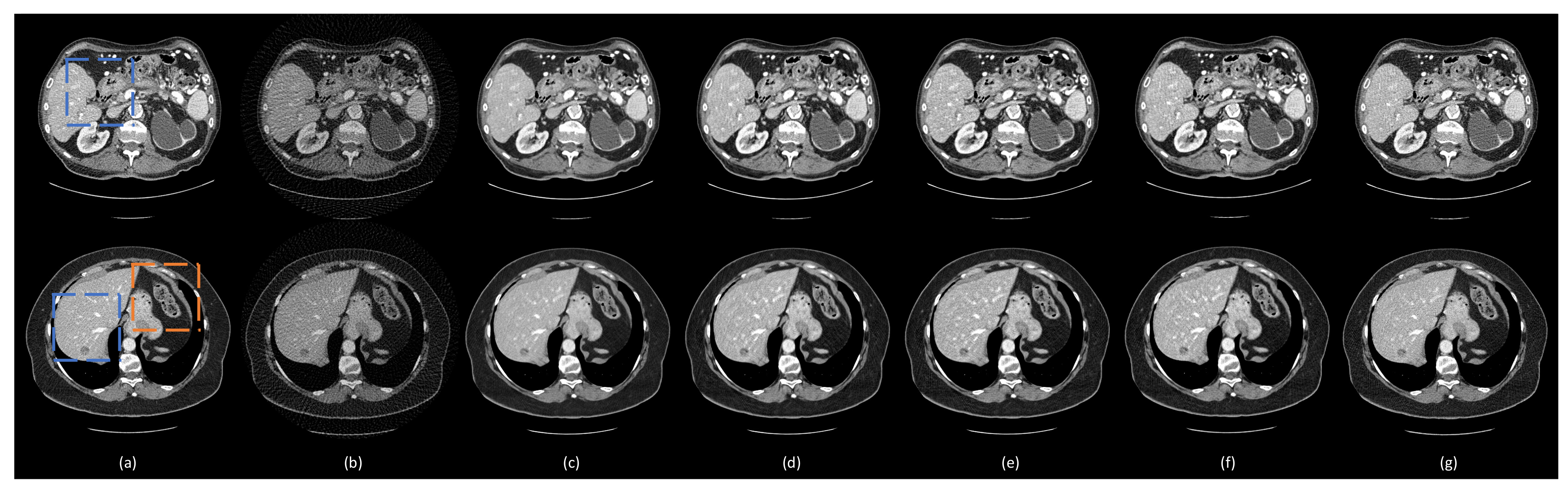 Bioengineering 06 00111 g005