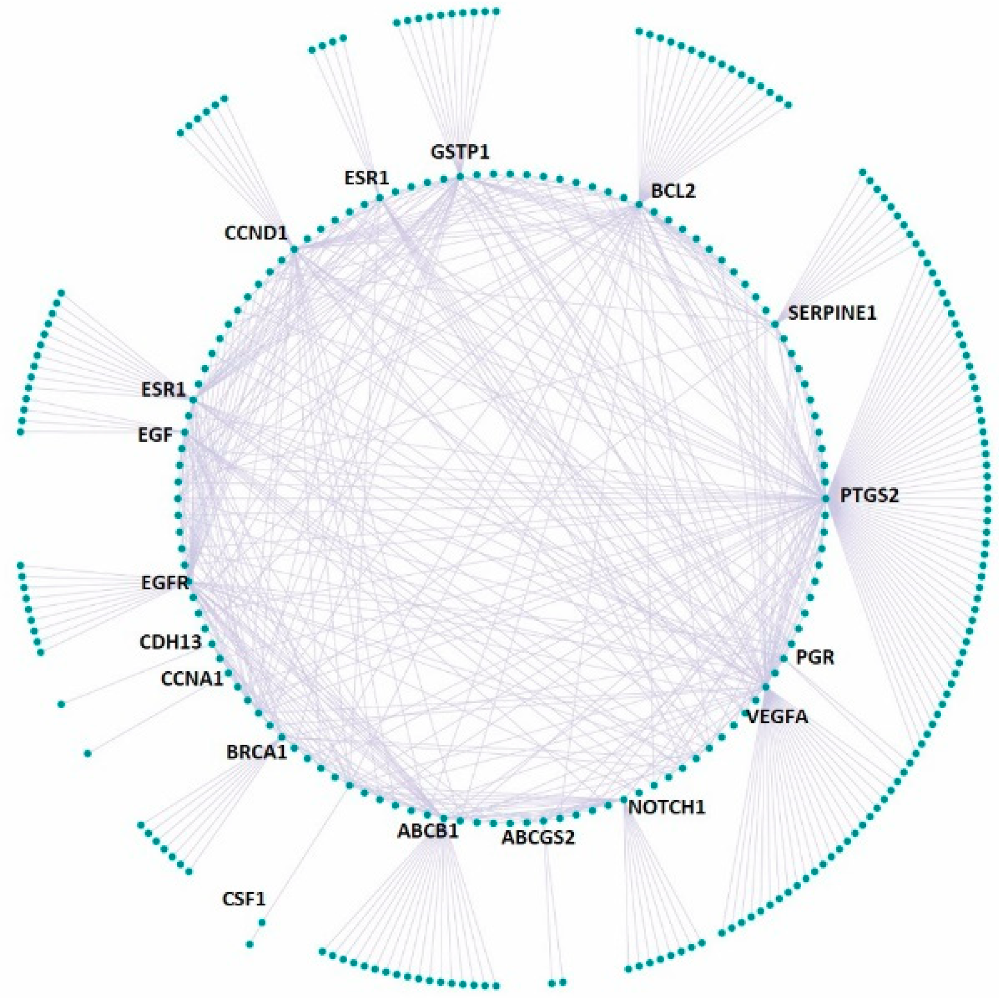 Bioengineering 06 00112 g006