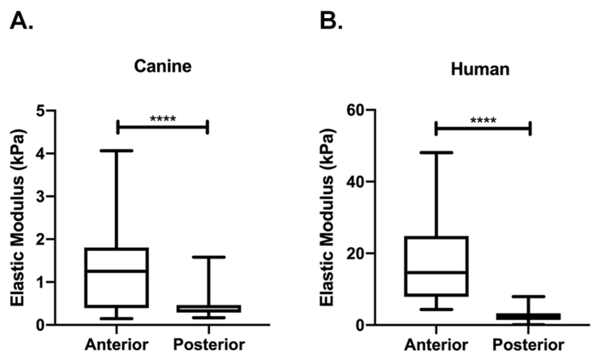Bioengineering 07 00004 g002 Bioengineering 07 00004 g002