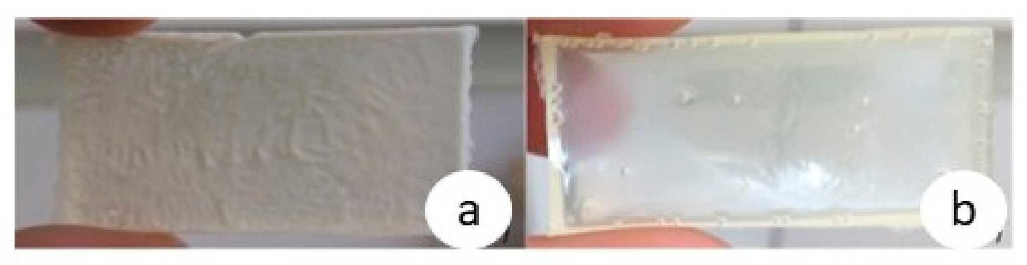 Bioengineering 07 00013 g003 Bioengineering 07 00013 g003