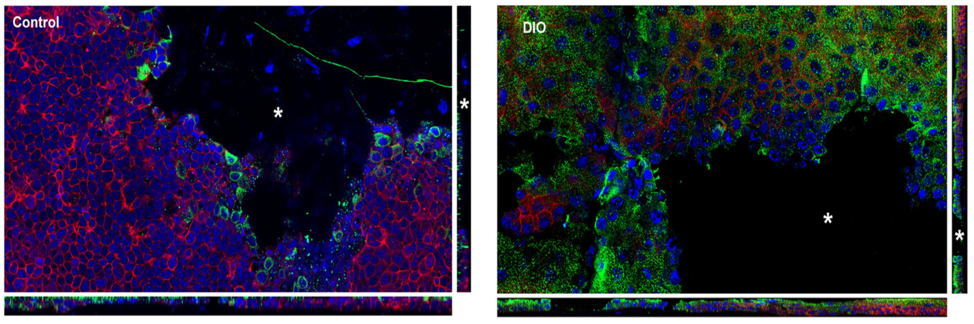 Bioengineering 07 00014 g004 Bioengineering 07 00014 g004