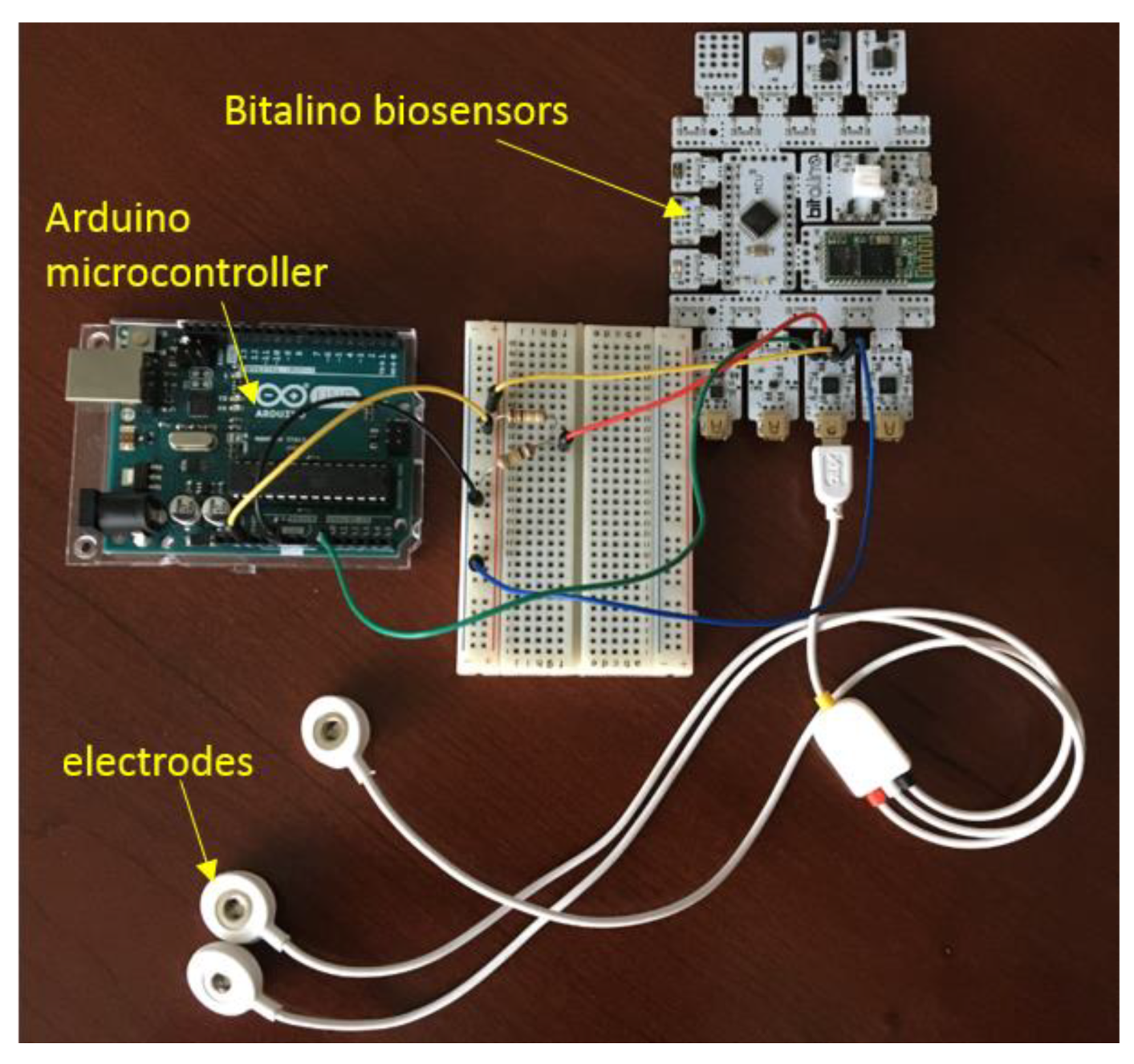 Bioengineering 07 00016 g003