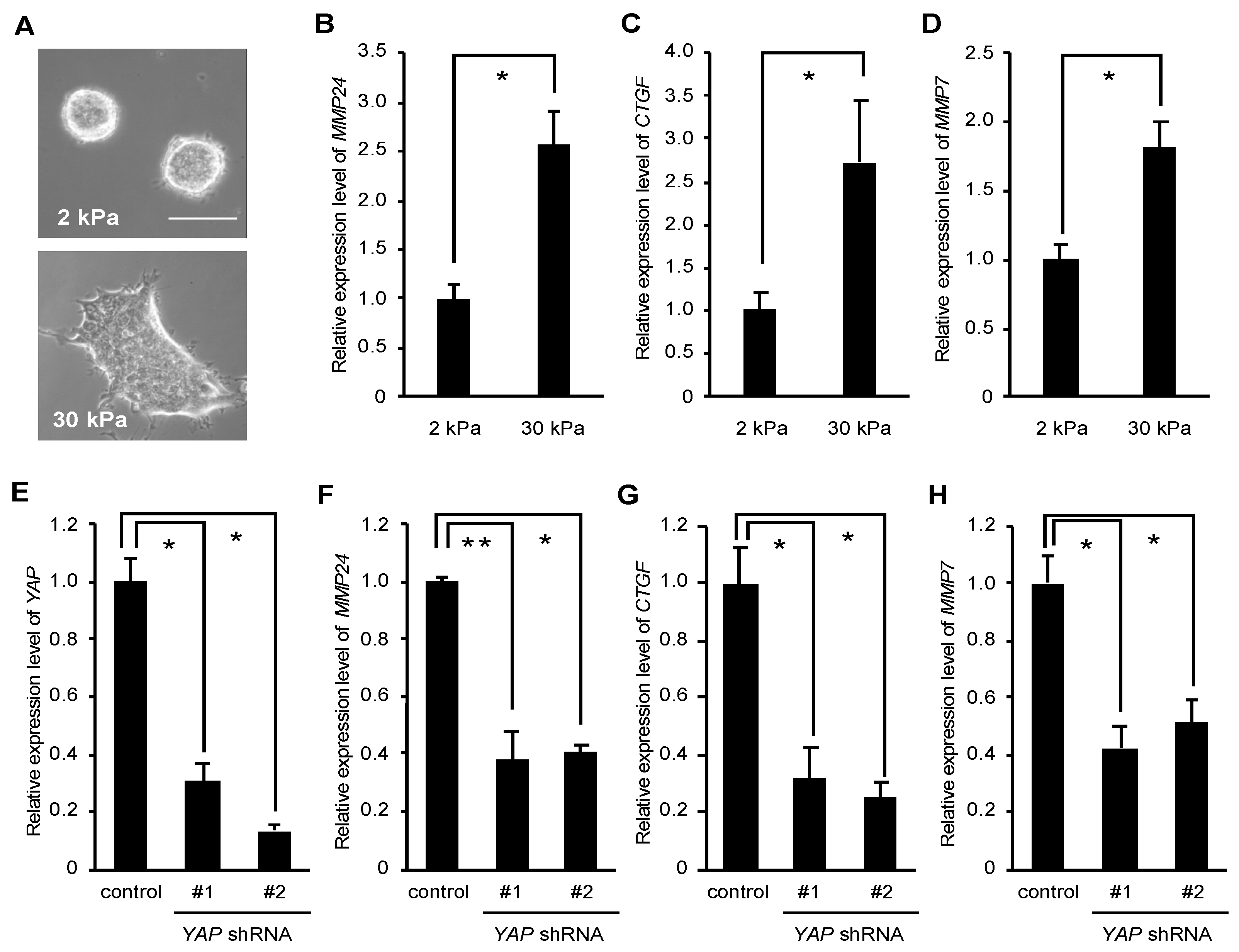 Bioengineering 07 00018 g001