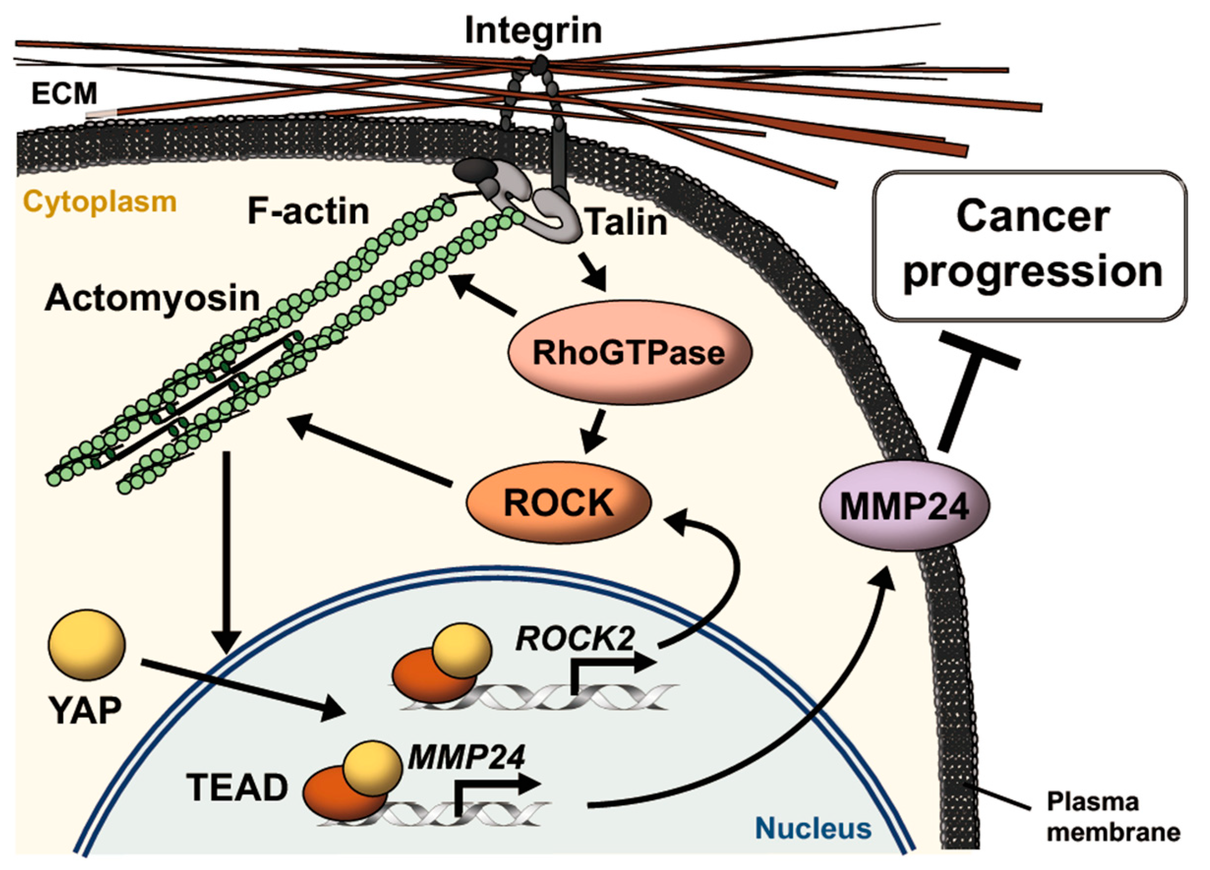 Bioengineering 07 00018 g006