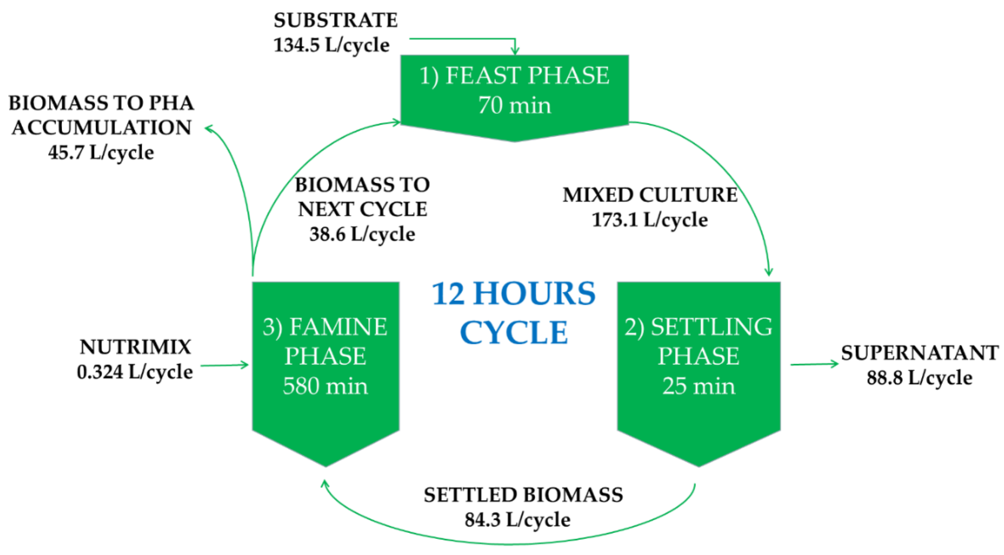 Bioengineering 07 00019 g001