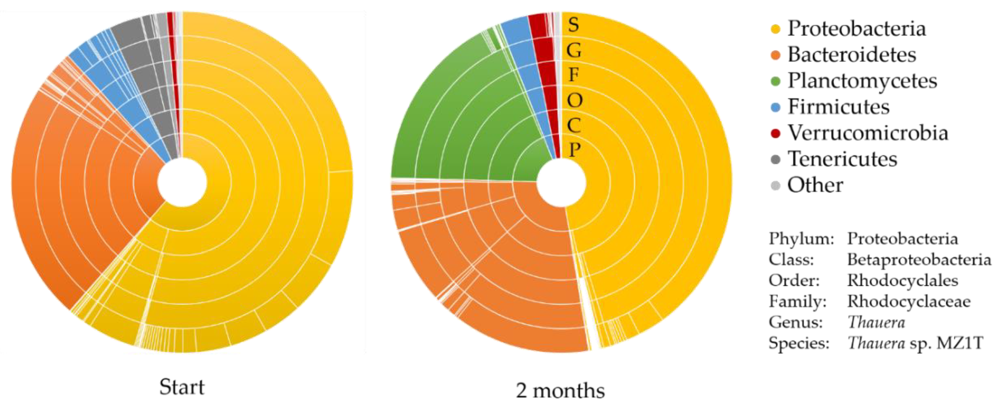 Bioengineering 07 00019 g004