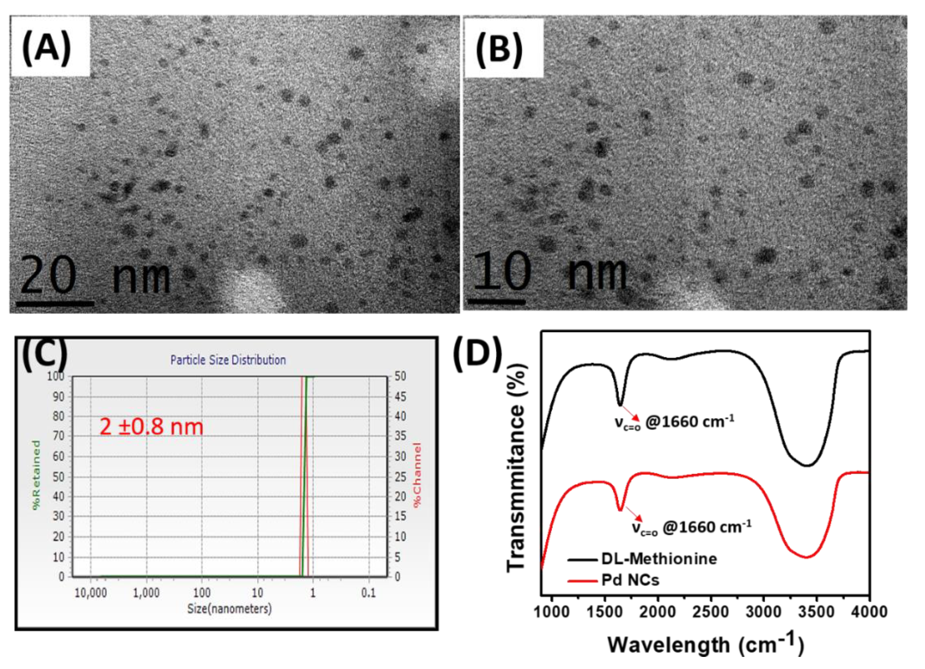 Bioengineering 07 00020 g001