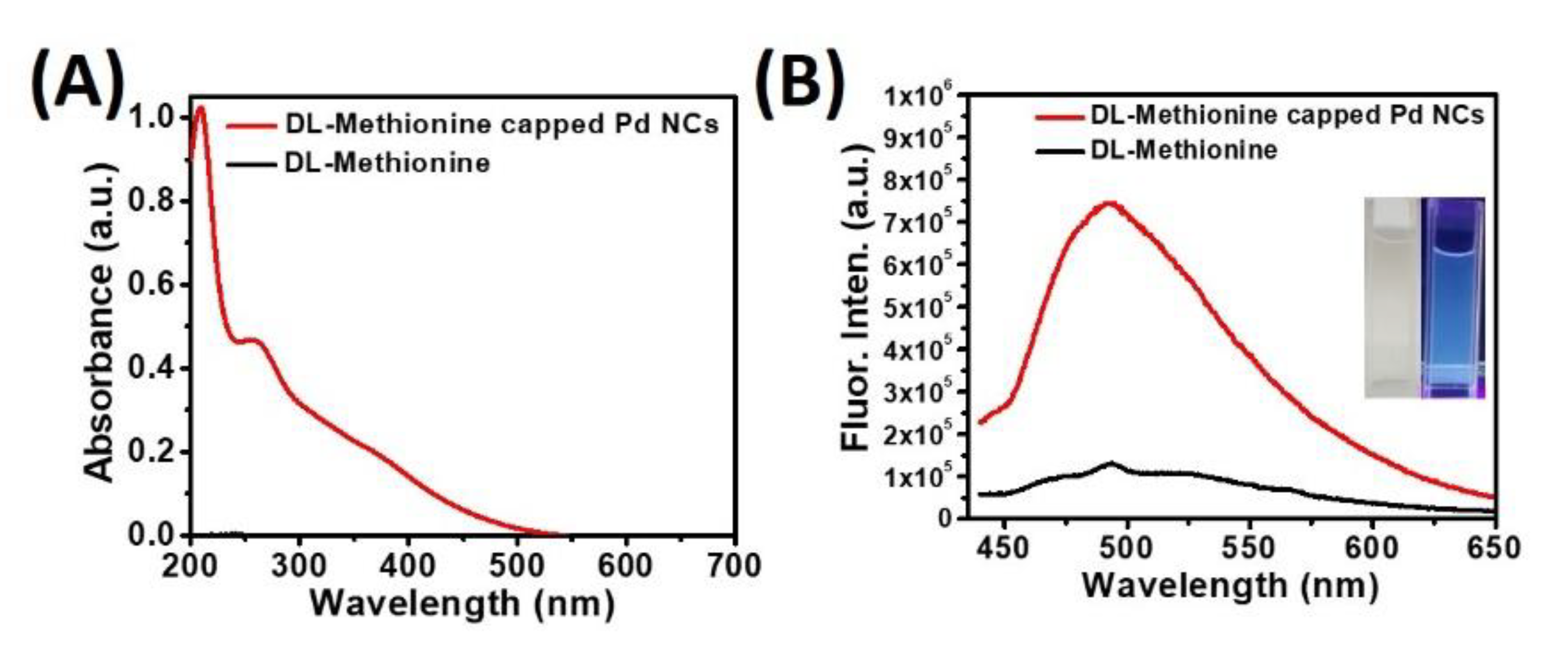 Bioengineering 07 00020 g002