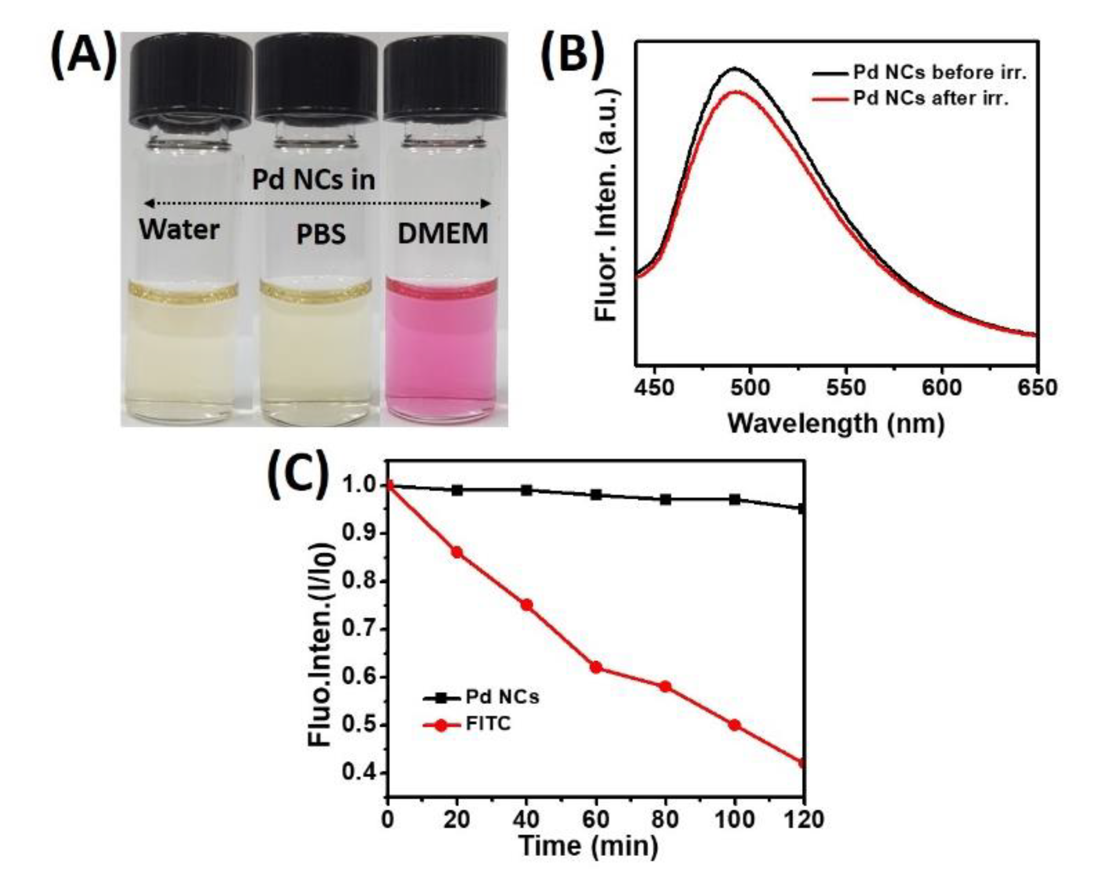 Bioengineering 07 00020 g003