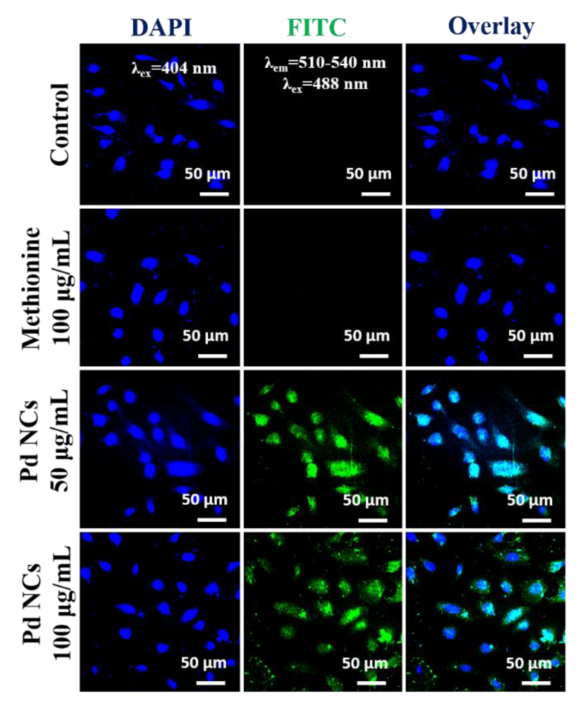 Bioengineering 07 00020 g006