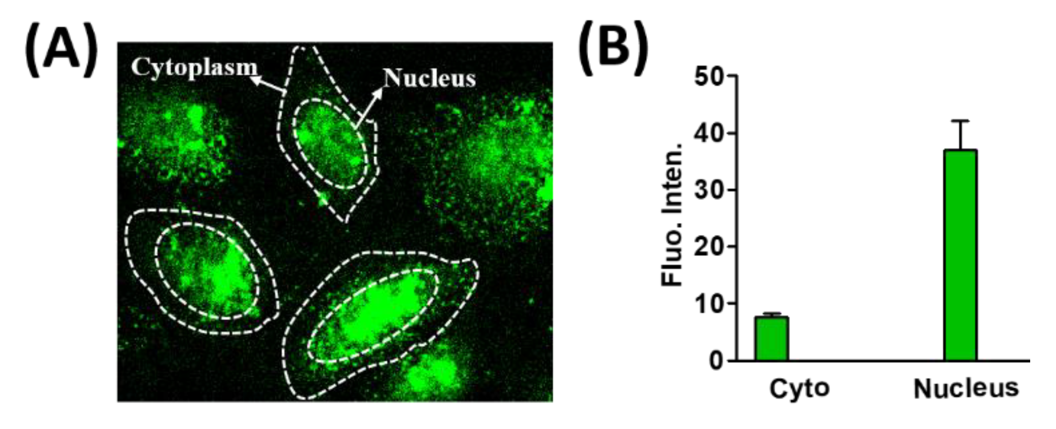 Bioengineering 07 00020 g008
