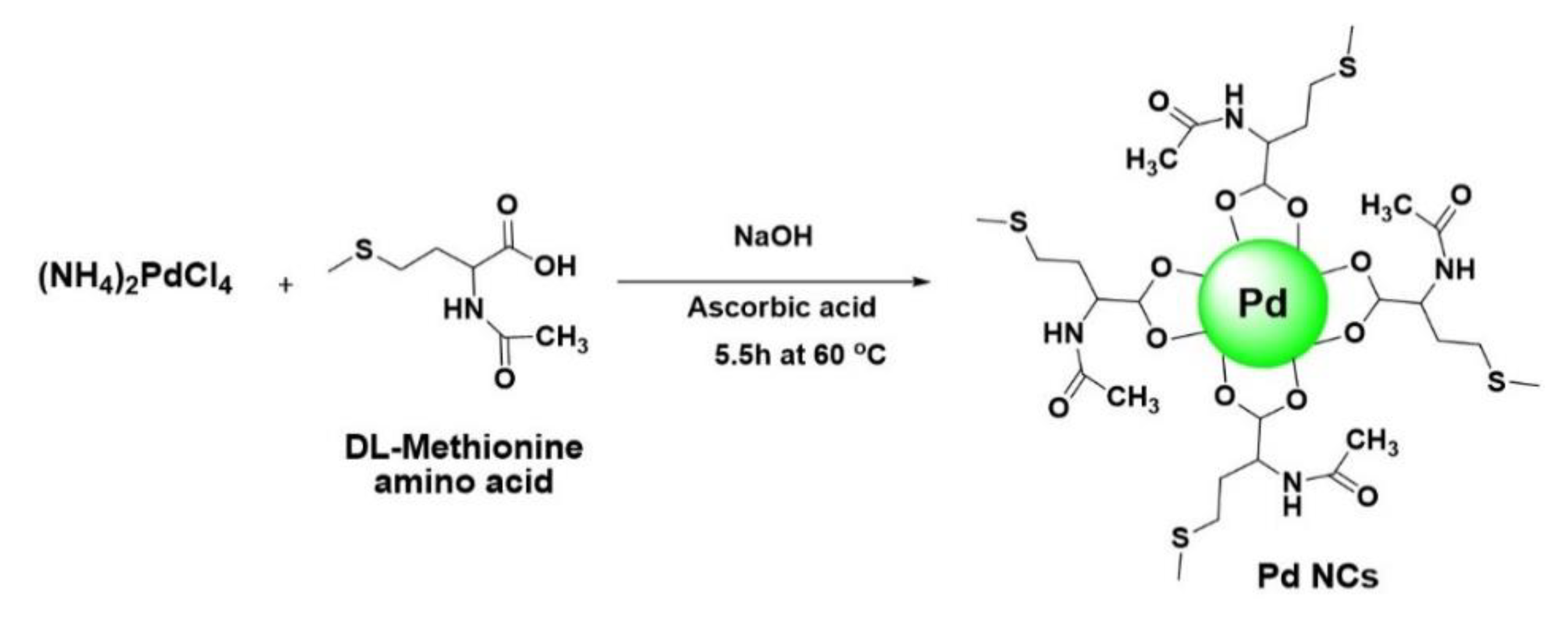Bioengineering 07 00020 sch002