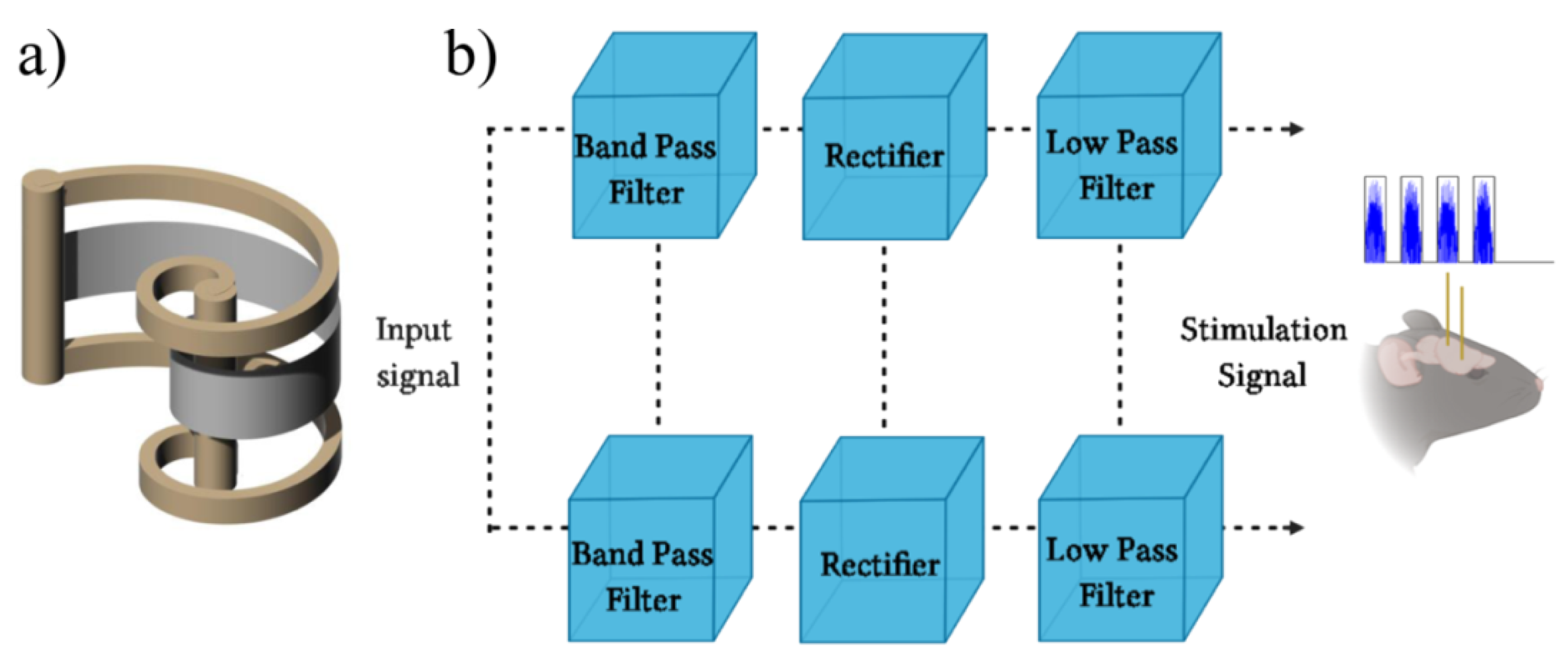 Bioengineering 07 00023 g004