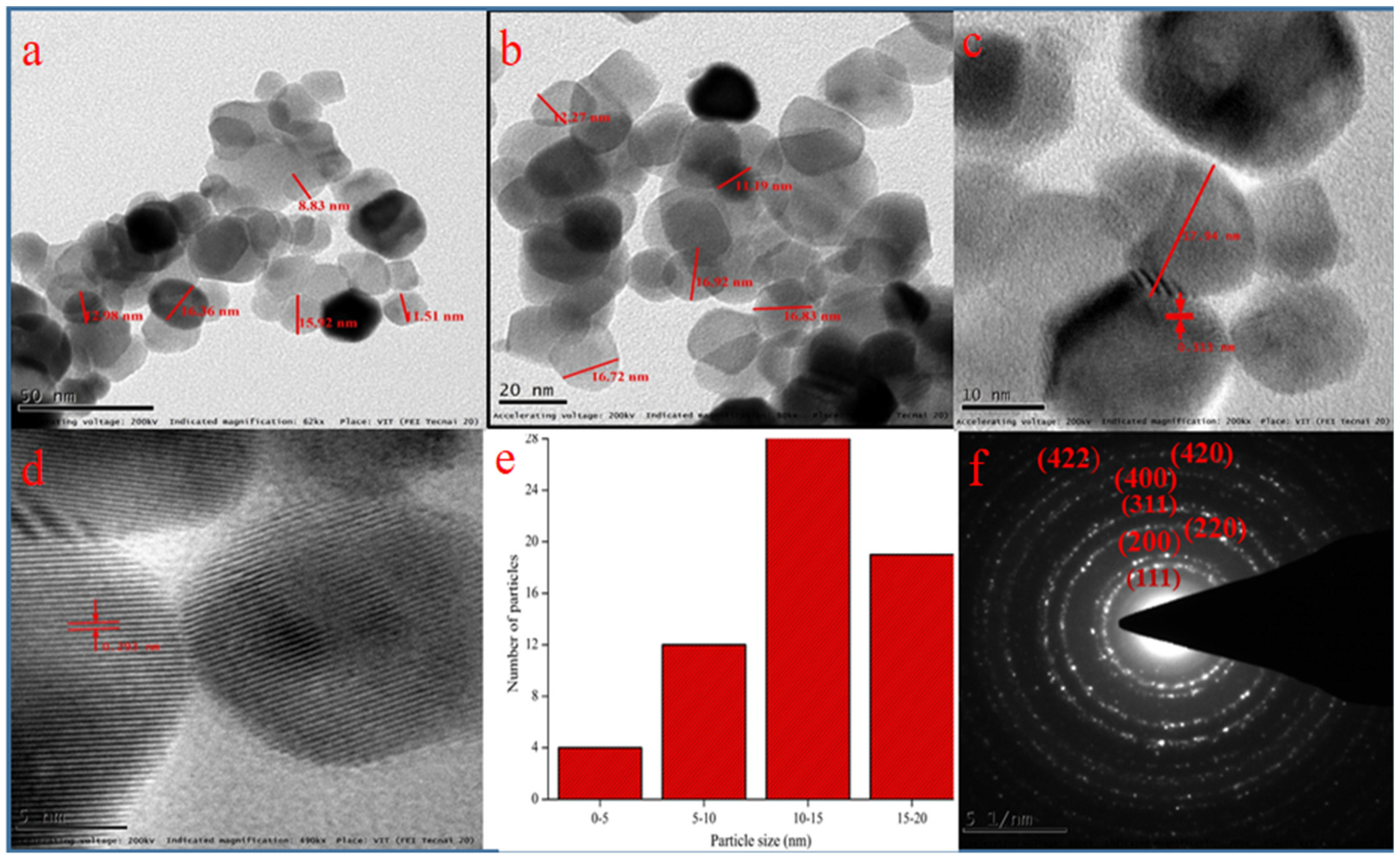 Bioengineering 07 00026 g004 Bioengineering 07 00026 g004