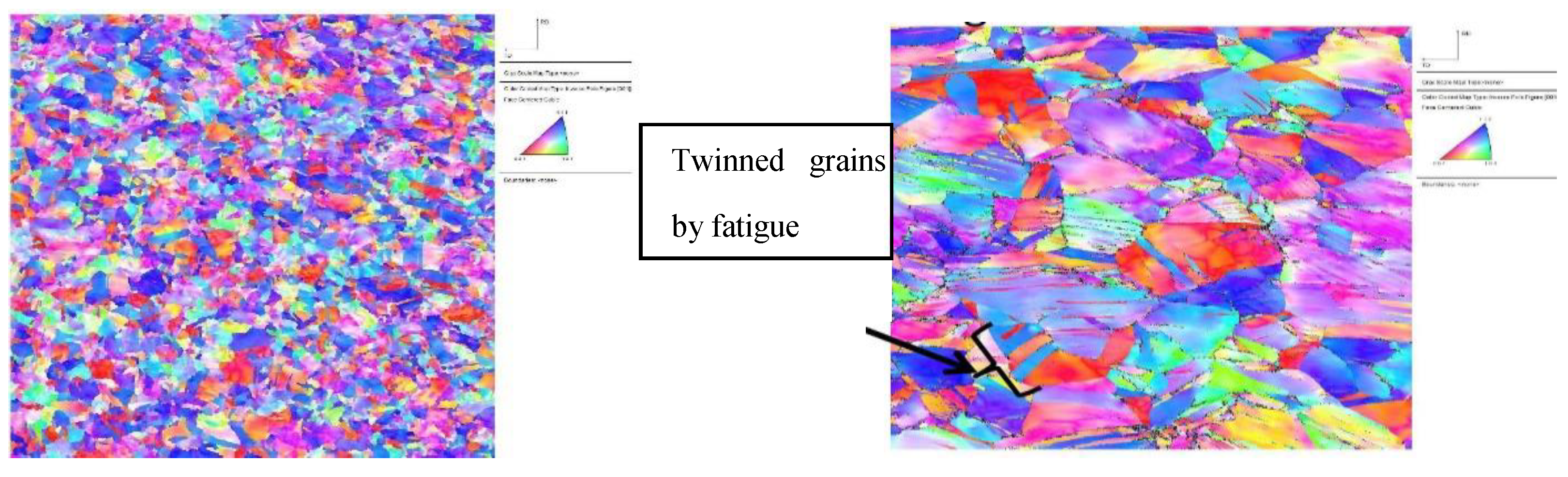 Bioengineering 07 00027 g007 Bioengineering 07 00027 g007