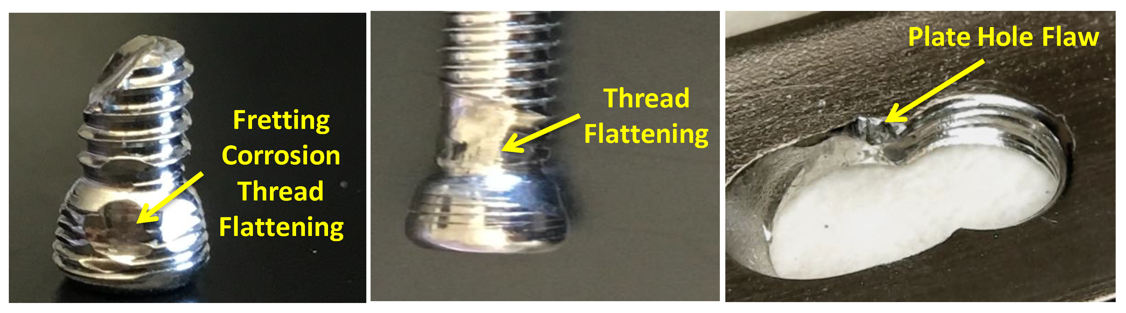 Bioengineering 07 00027 g008 Bioengineering 07 00027 g008