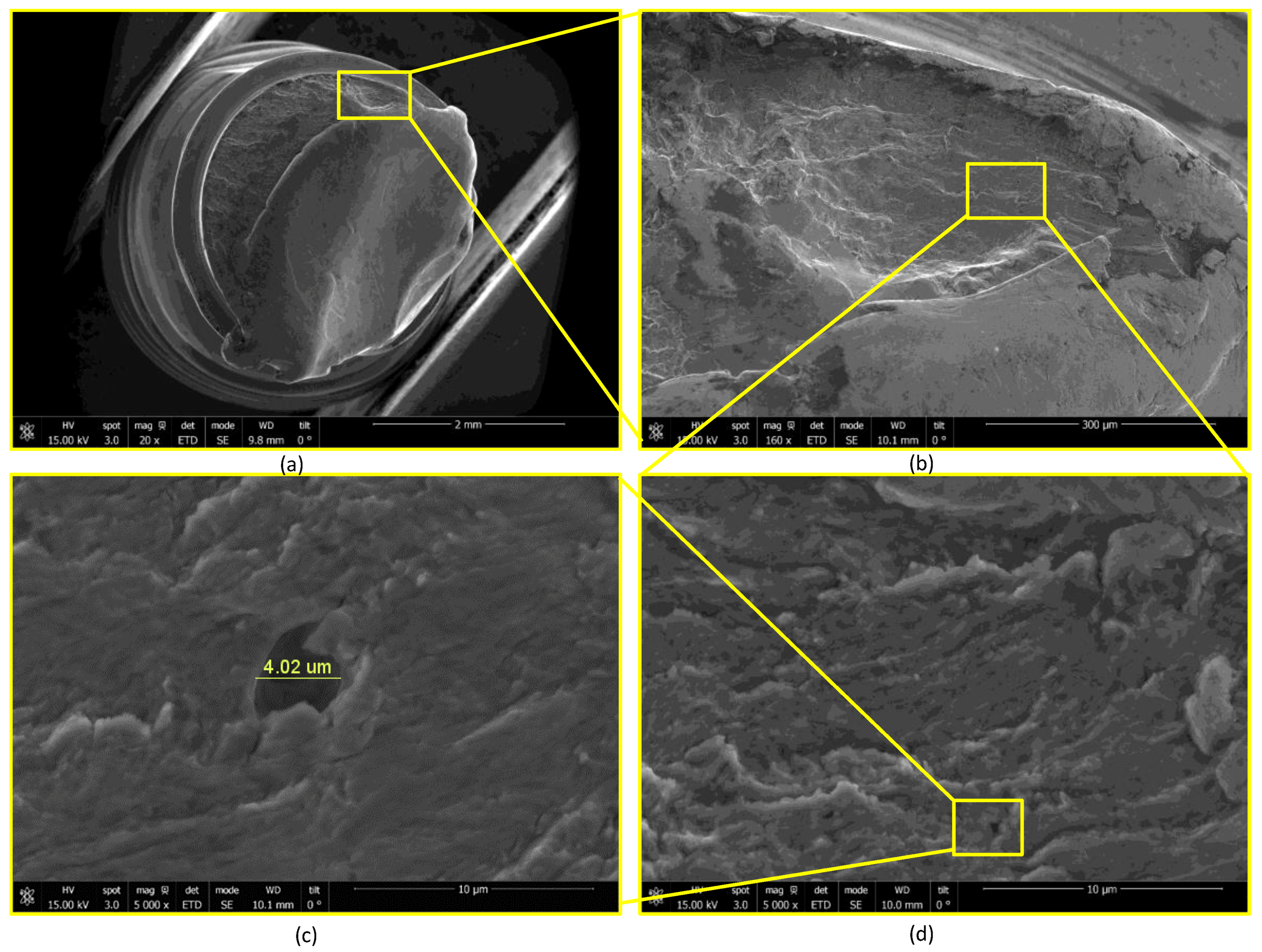 Bioengineering 07 00027 g0a11 Bioengineering 07 00027 g0a11