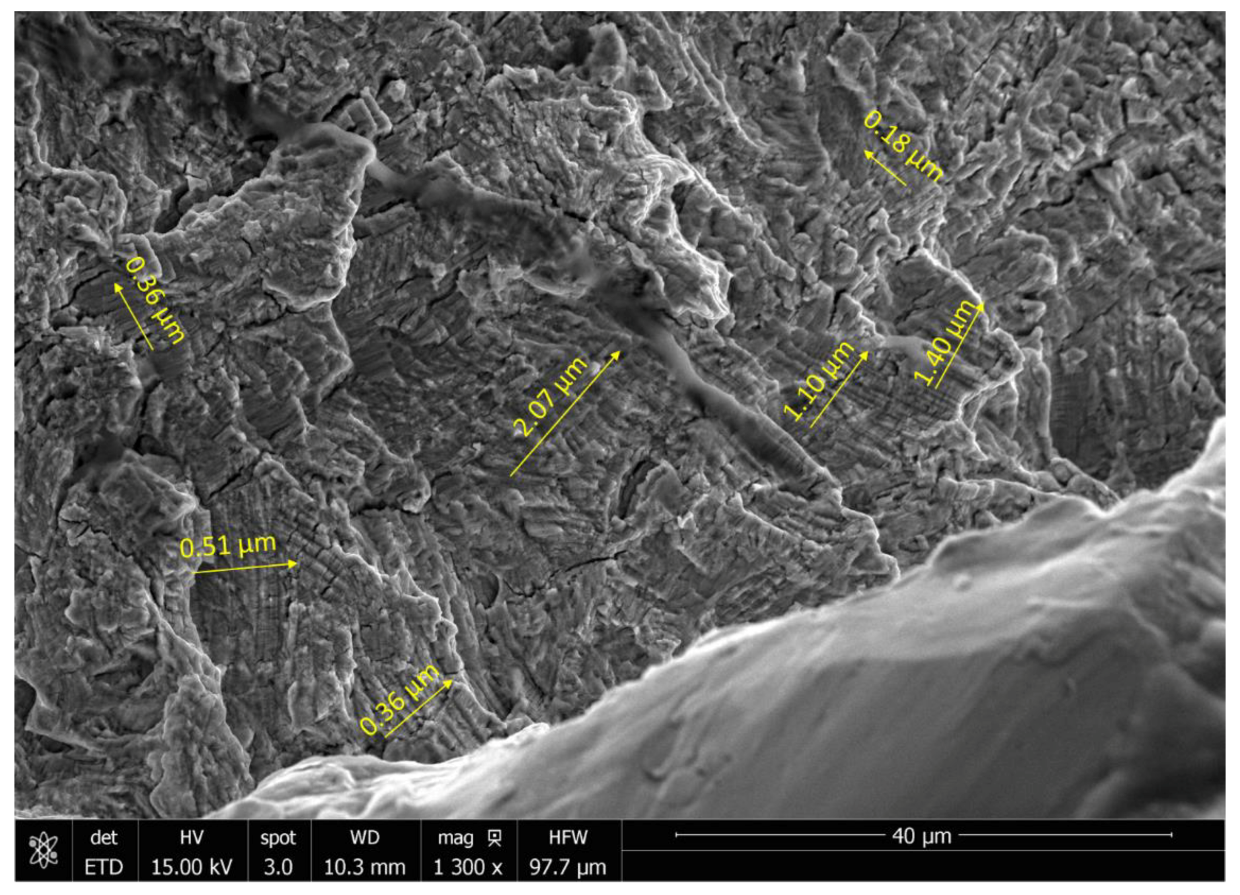 Bioengineering 07 00027 g0a14 Bioengineering 07 00027 g0a14