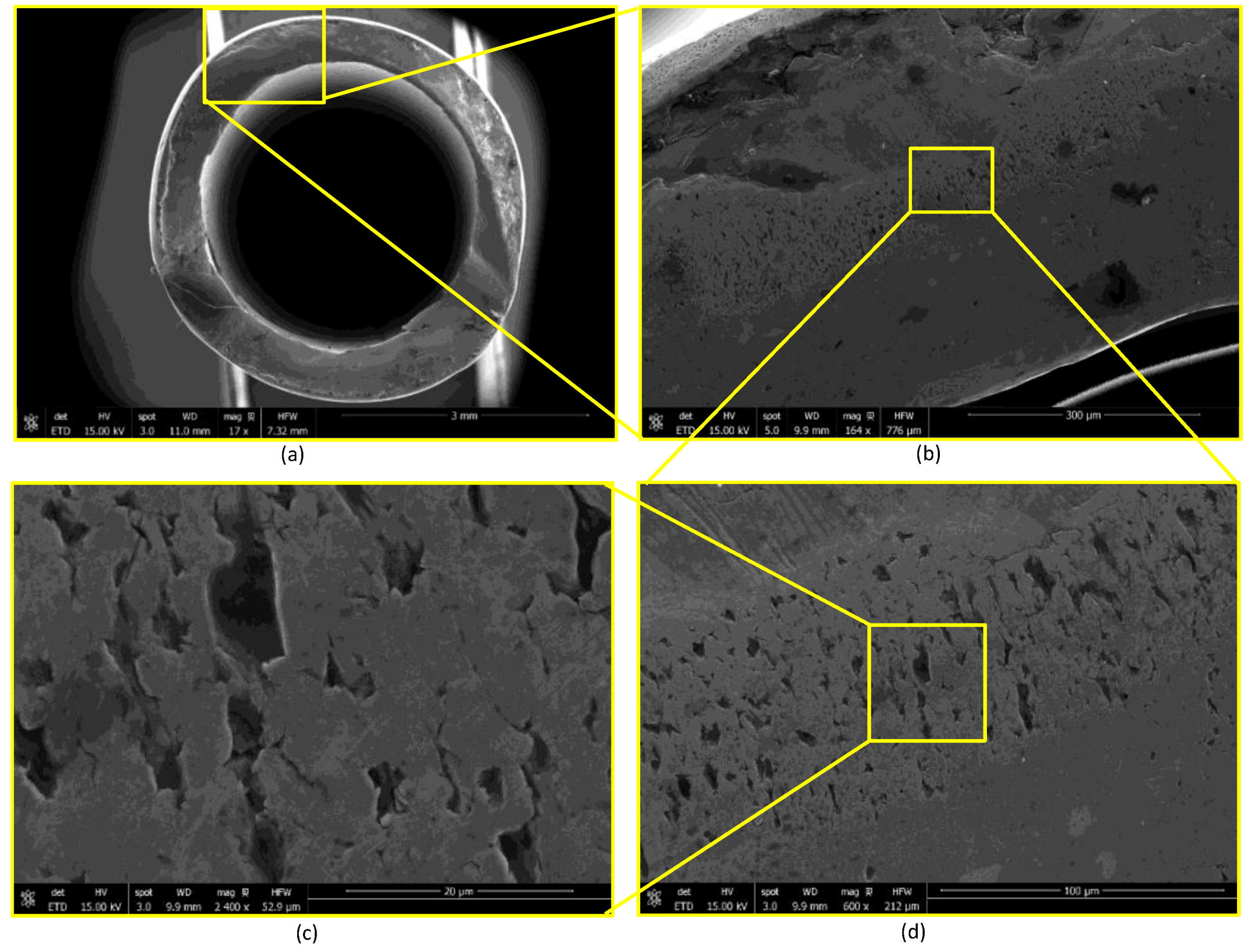 Bioengineering 07 00027 g0a6 Bioengineering 07 00027 g0a6