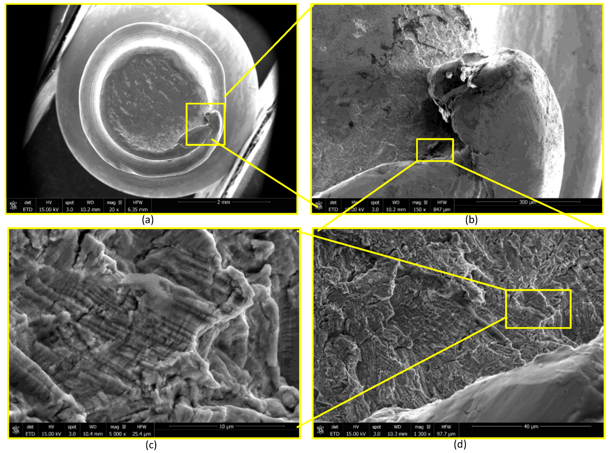 Bioengineering 07 00027 g0a7 Bioengineering 07 00027 g0a7