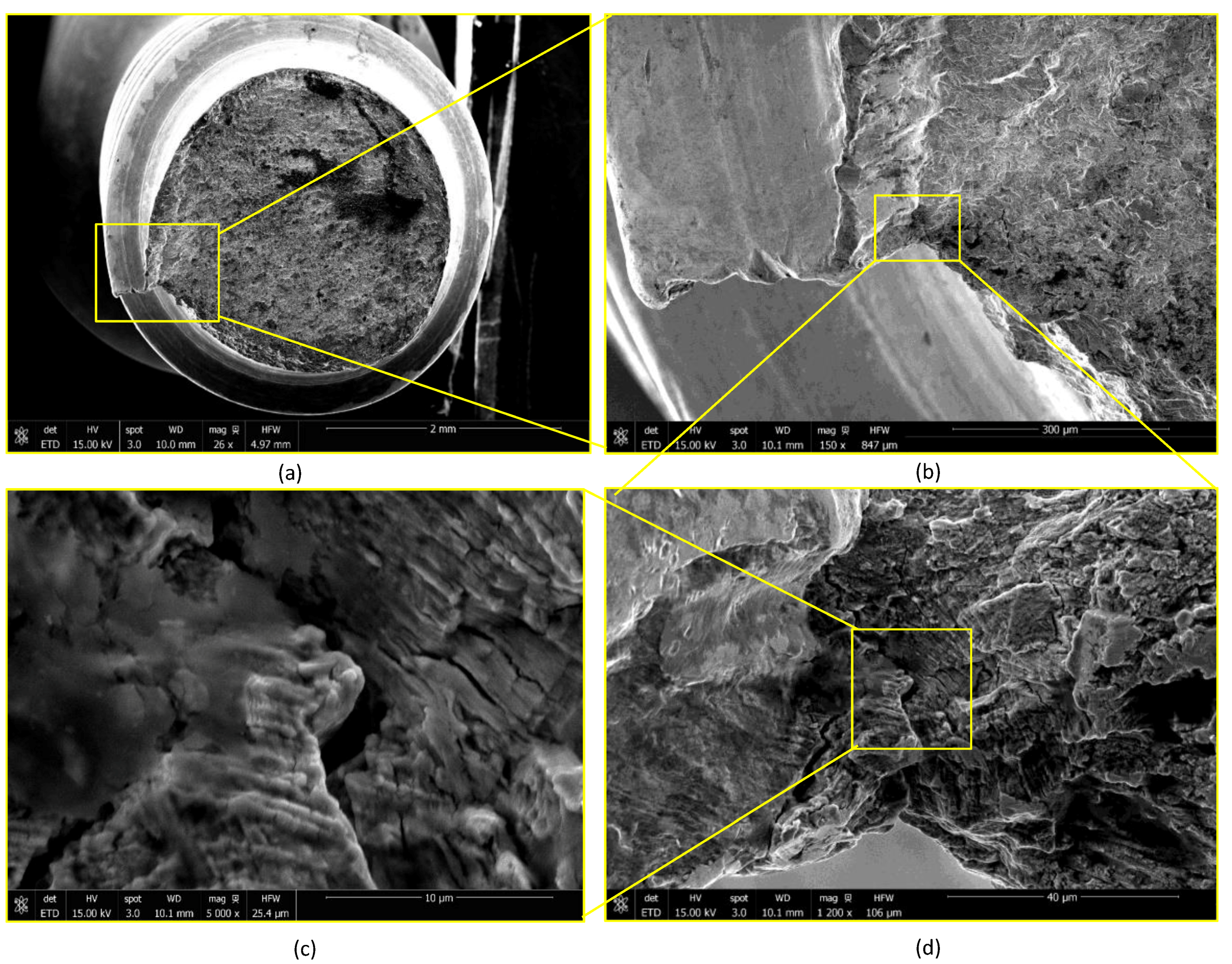 Bioengineering 07 00027 g0a9 Bioengineering 07 00027 g0a9