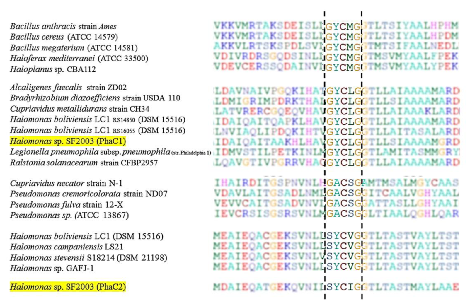 Bioengineering 07 00029 g003 Bioengineering 07 00029 g003
