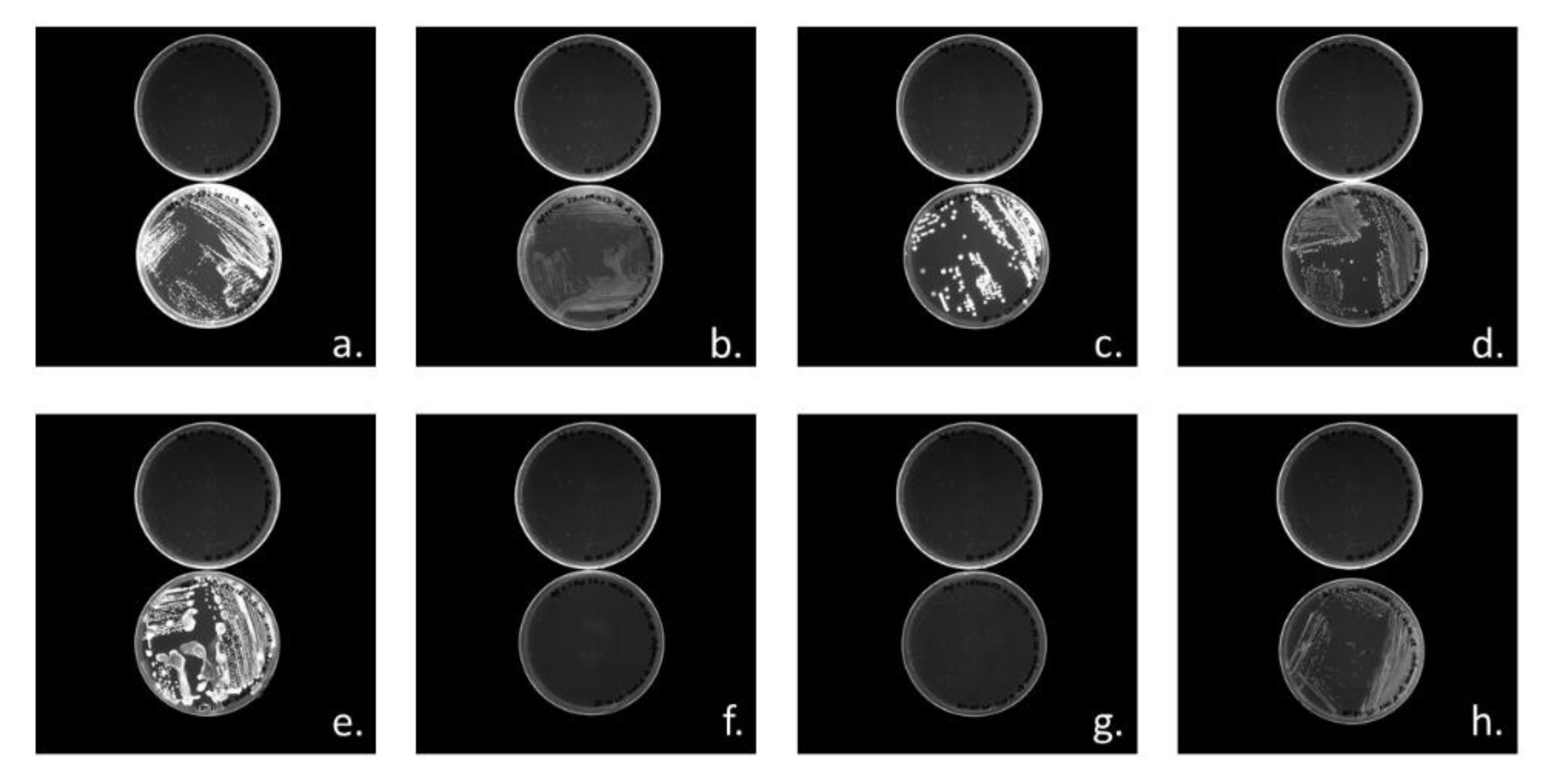 Bioengineering 07 00029 g004 Bioengineering 07 00029 g004