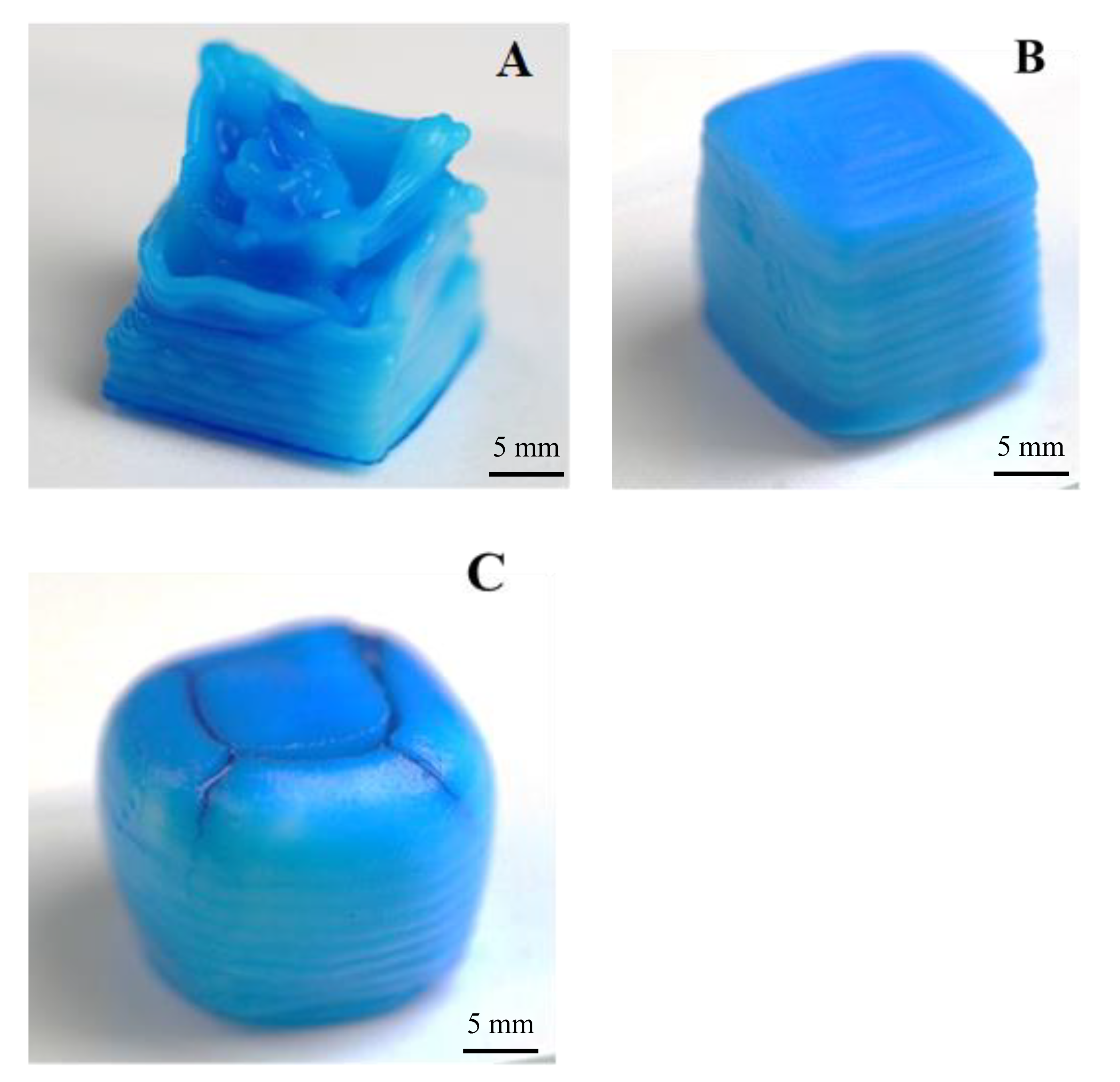 Bioengineering 07 00030 g004 Bioengineering 07 00030 g004