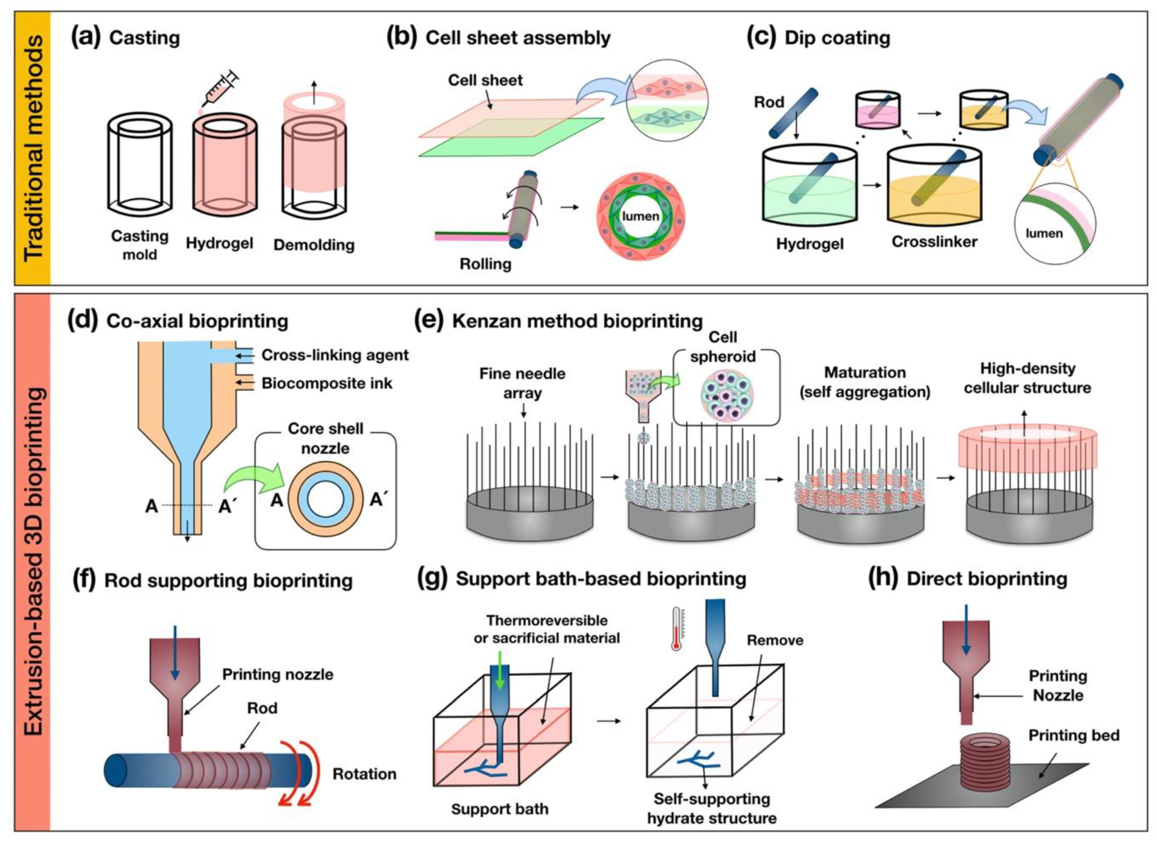 3D Bioprinting Competitions Ethics and Technical Scoring Rubrics