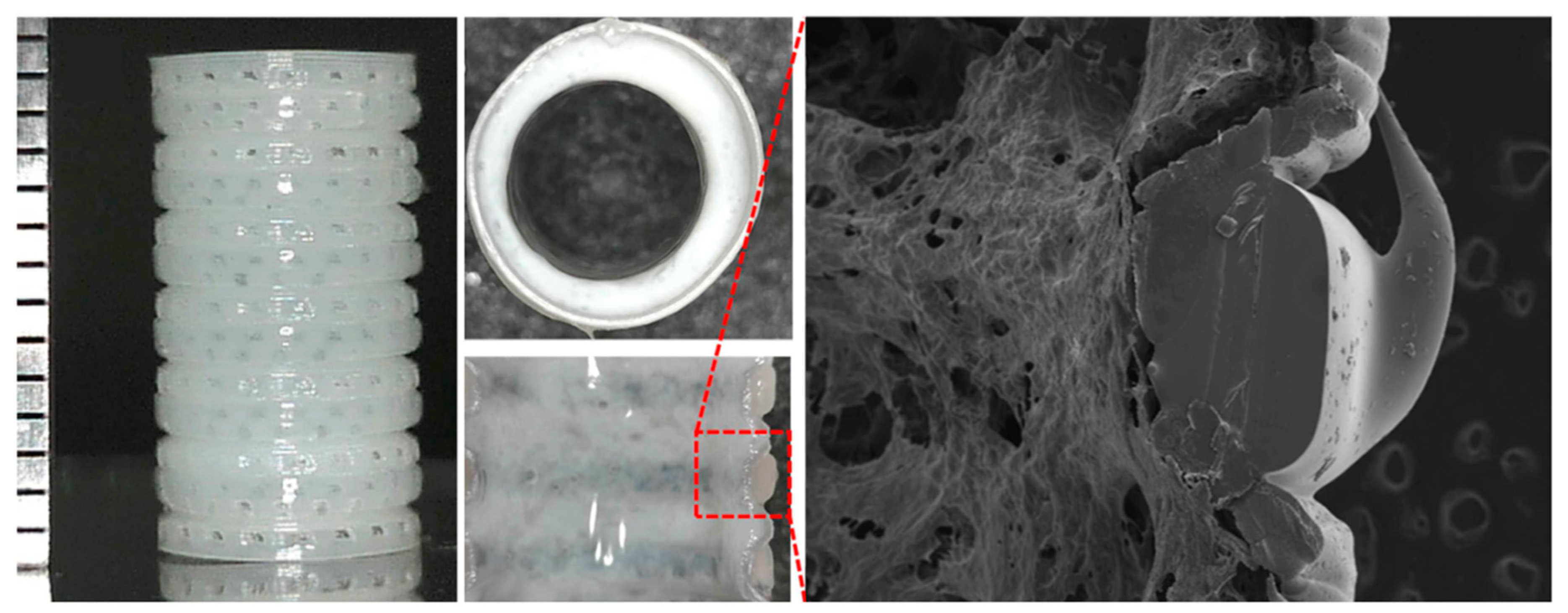 Bioengineering 07 00032 g005 Bioengineering 07 00032 g005