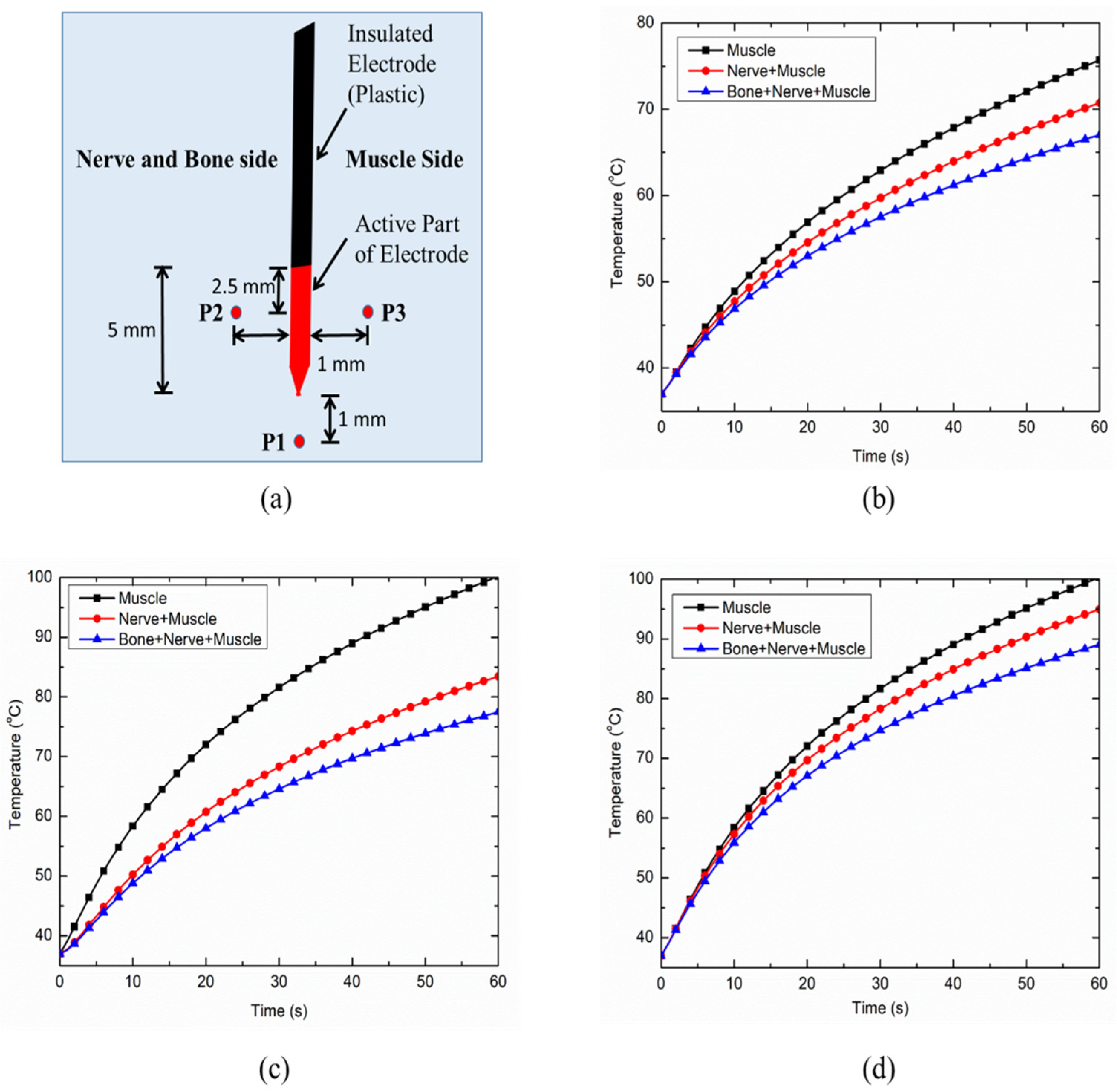 Bioengineering 07 00035 g006