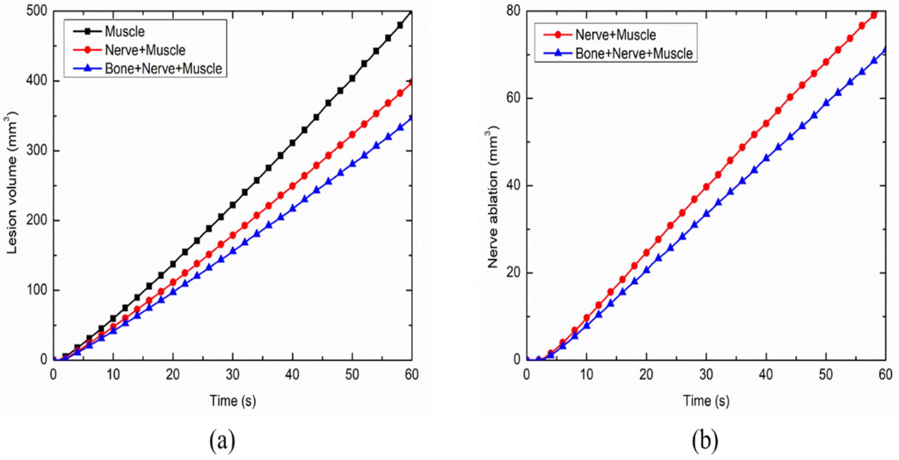 Bioengineering 07 00035 g008