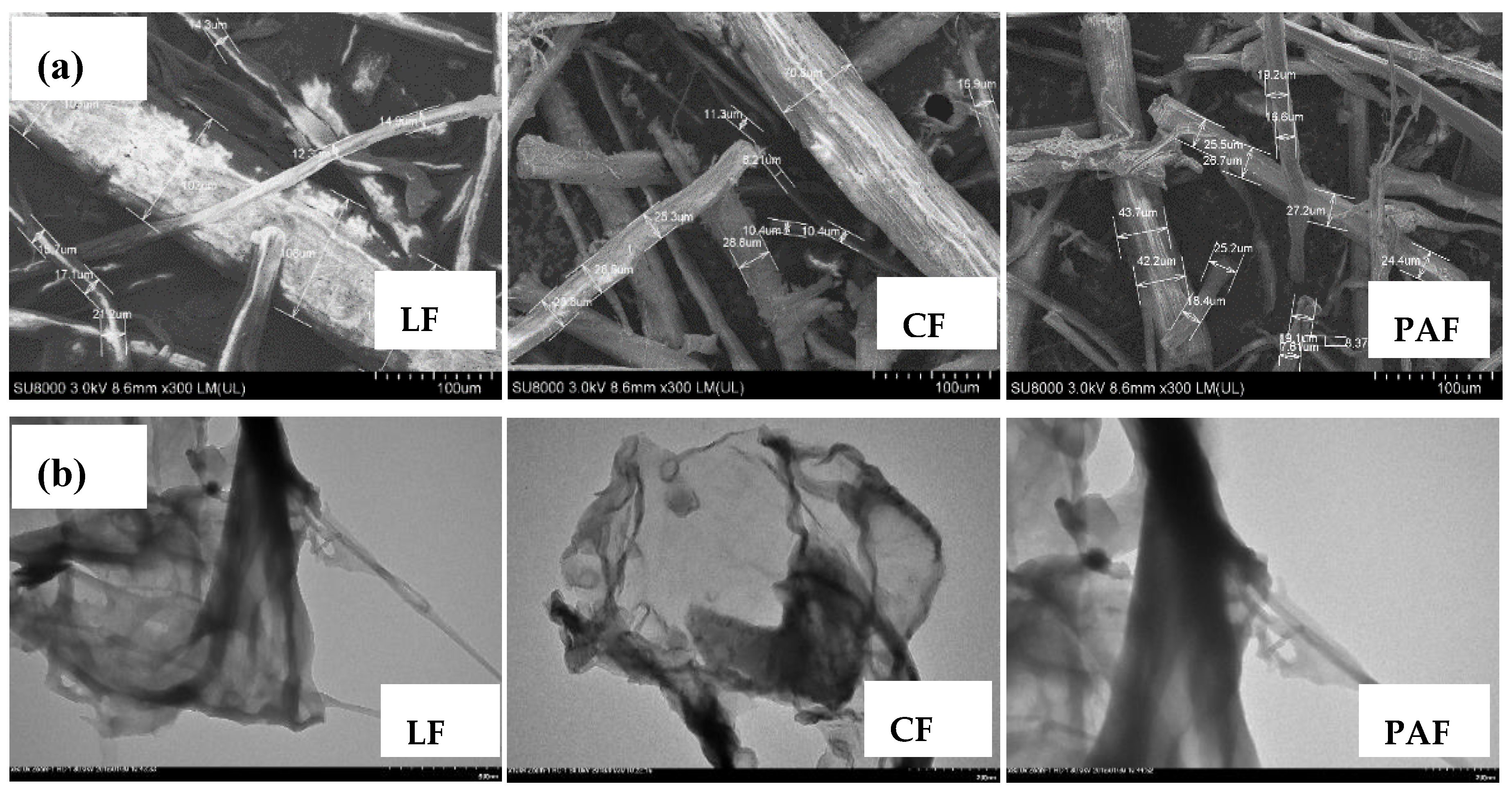 Bioengineering 07 00038 g003