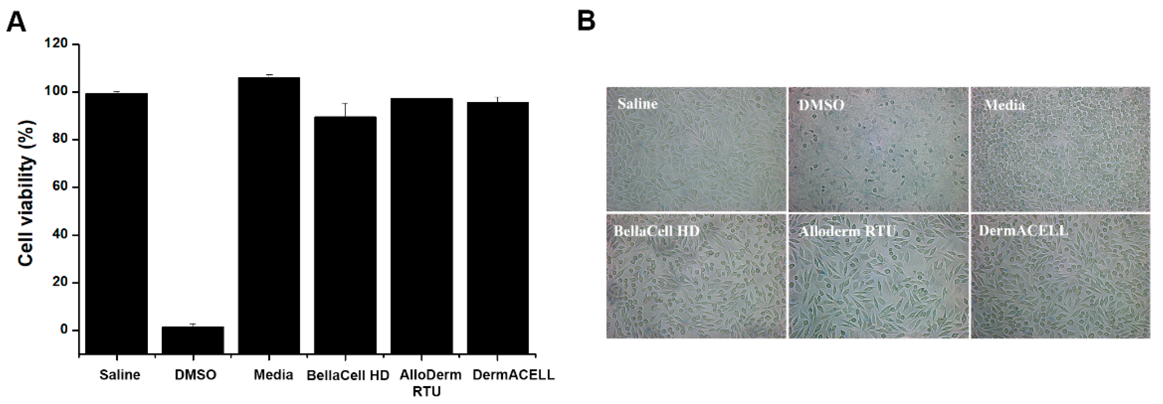 Bioengineering 07 00039 g003