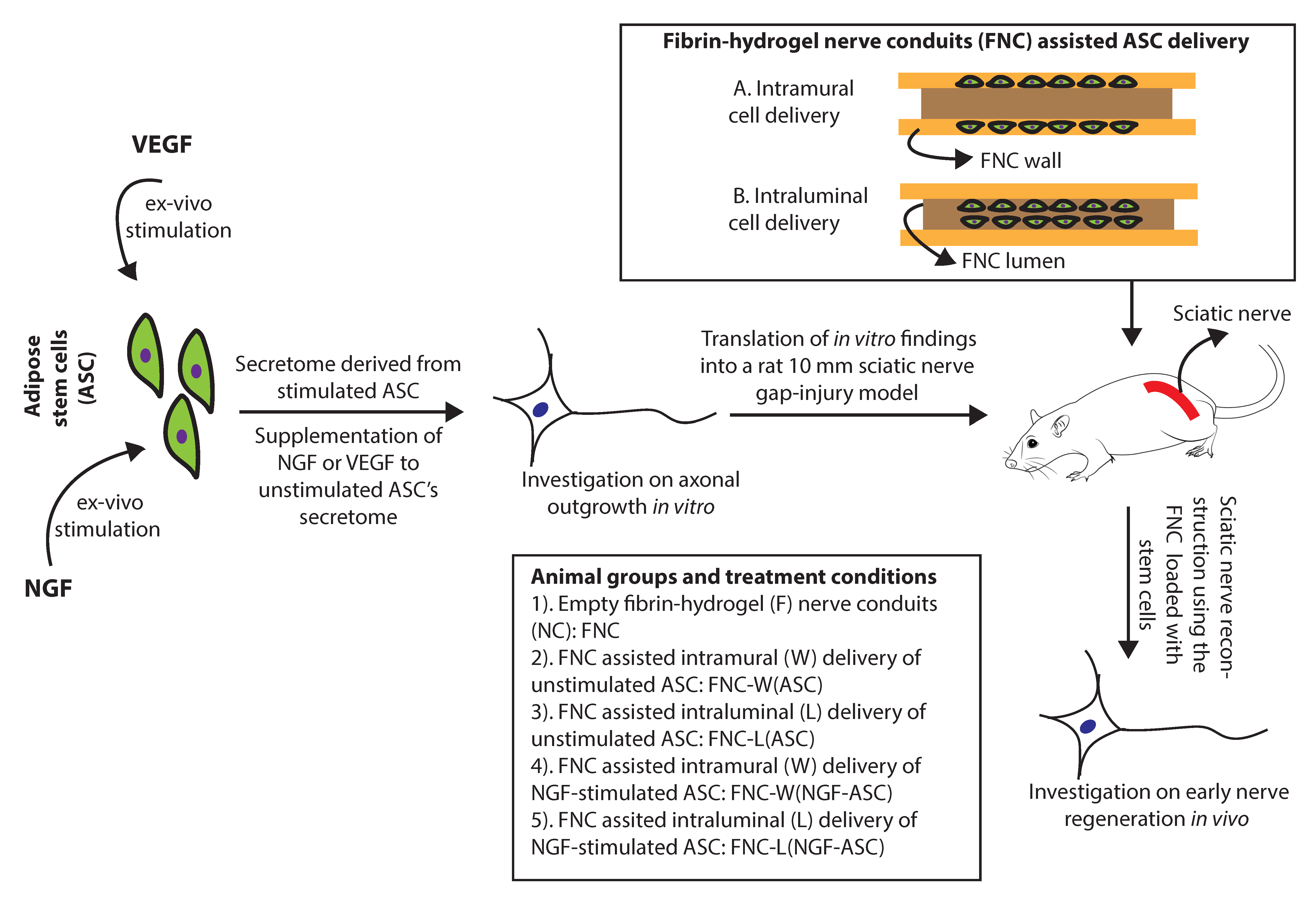 Bioengineering 07 00042 g001 Bioengineering 07 00042 g001