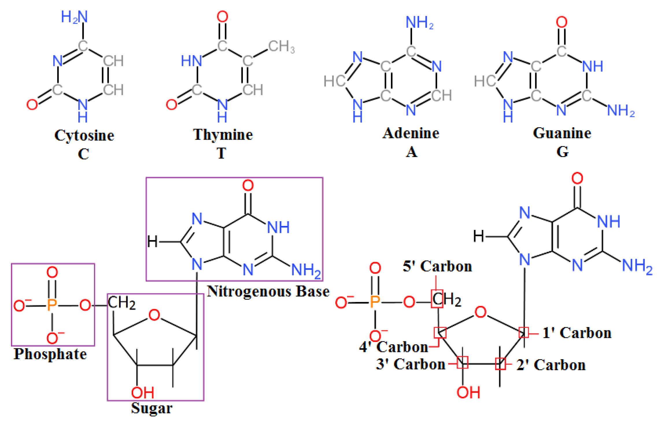 Bioengineering 07 00049 g001