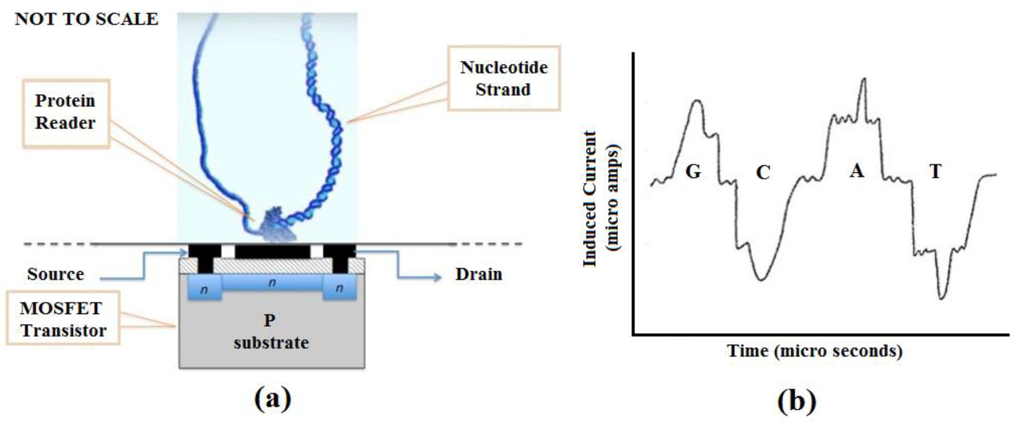 Bioengineering 07 00049 g002