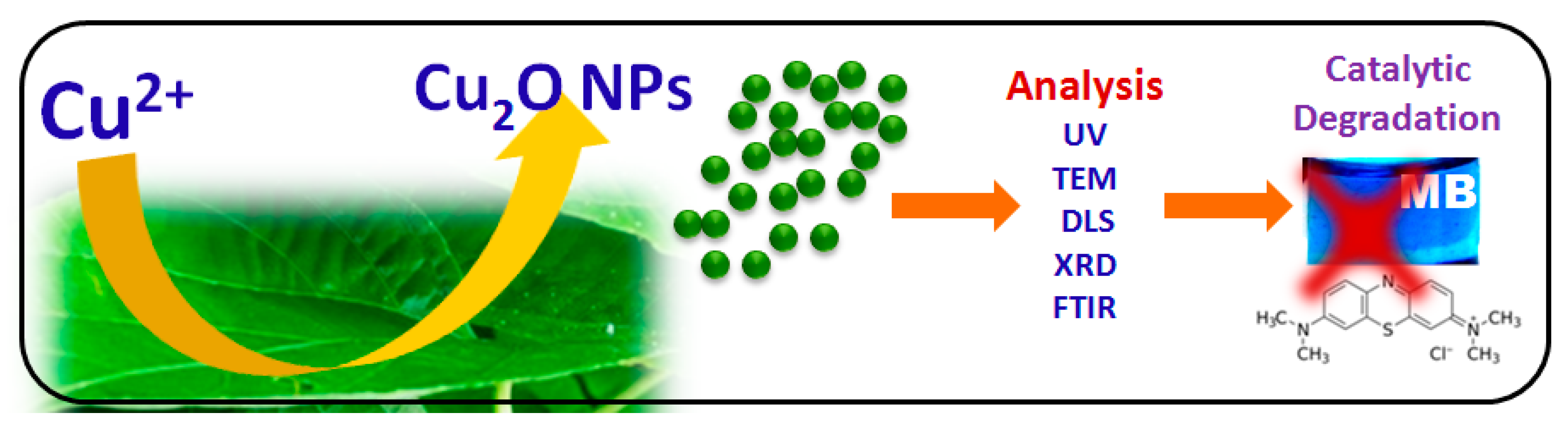 Bioengineering 07 00054 g001