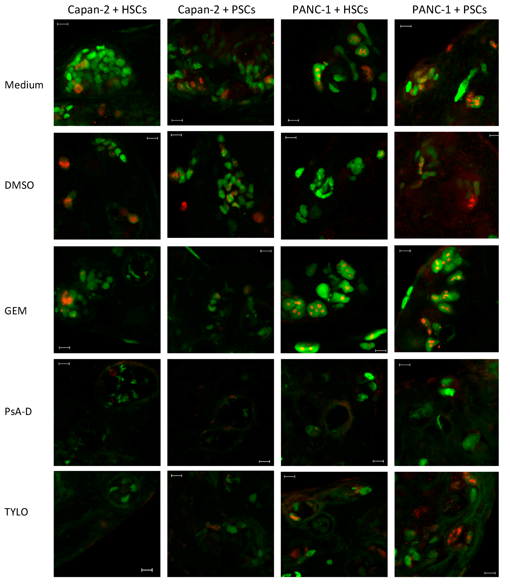Bioengineering 07 00057 g006