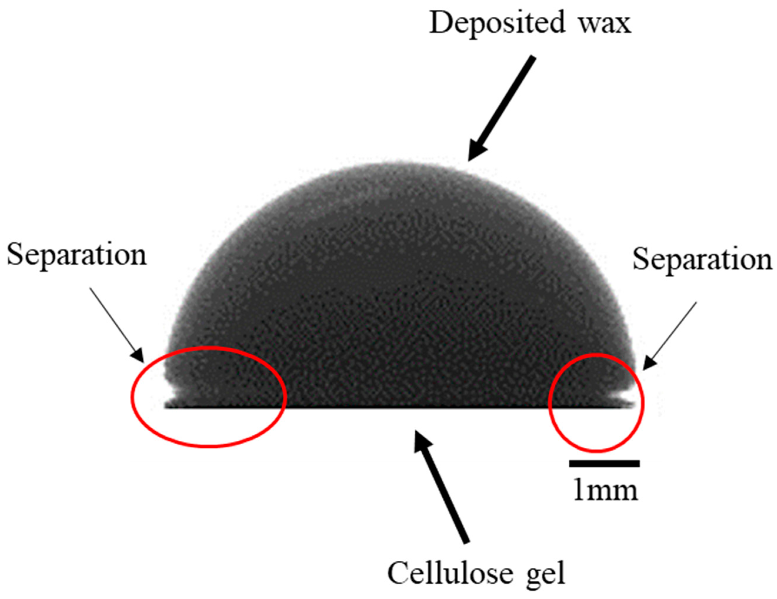 Bioengineering 07 00058 g004