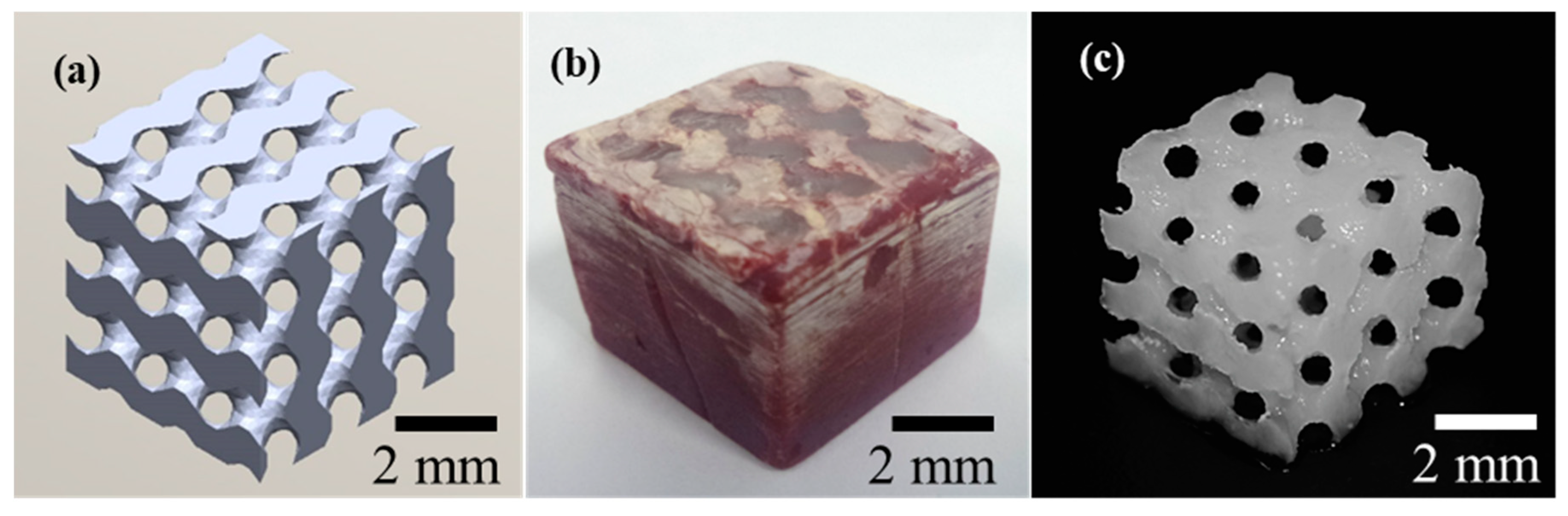 Bioengineering 07 00058 g005