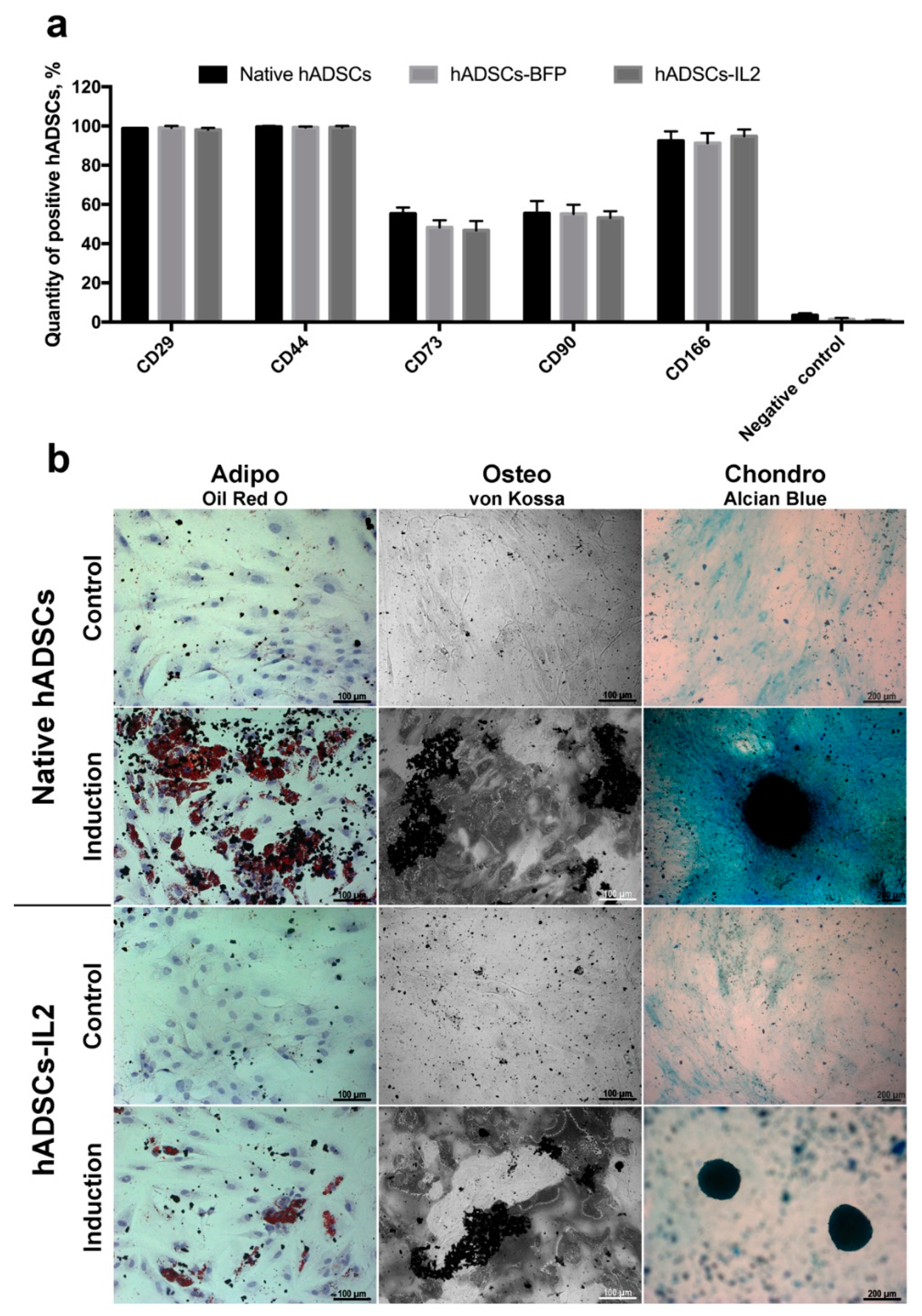 Bioengineering 07 00059 g002 Bioengineering 07 00059 g002