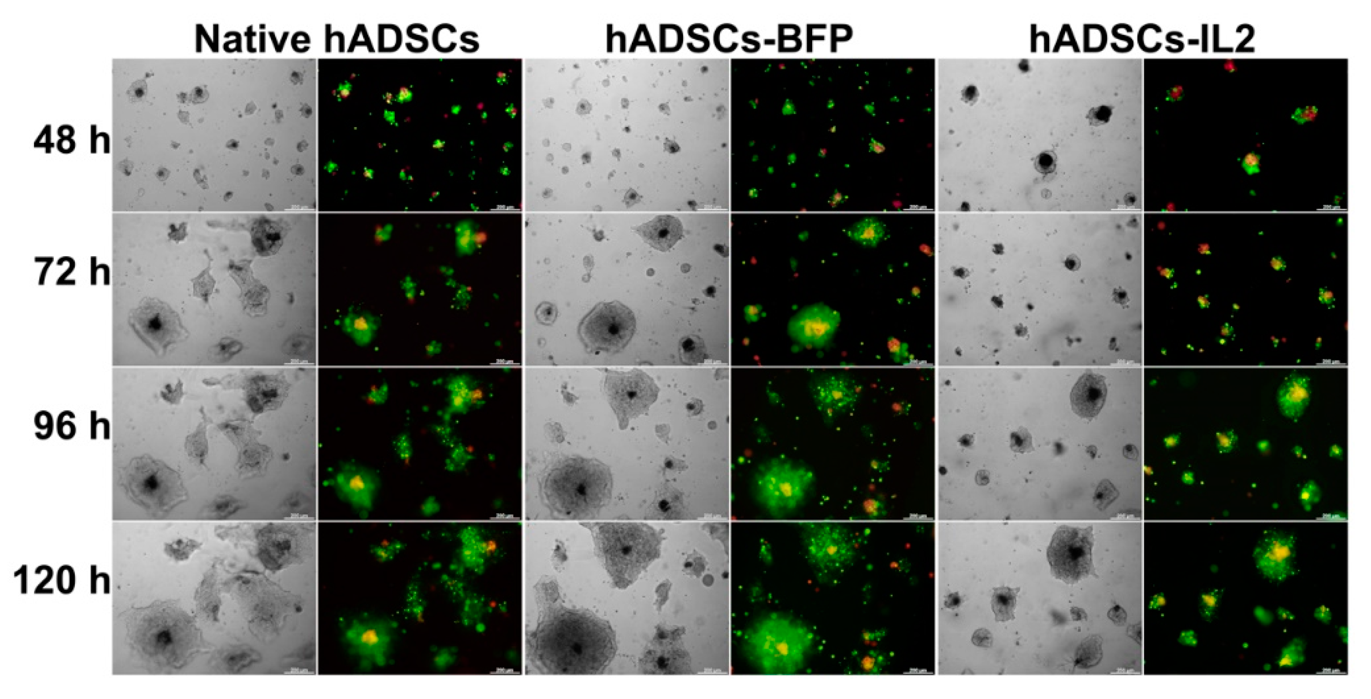 Bioengineering 07 00059 g009 Bioengineering 07 00059 g009