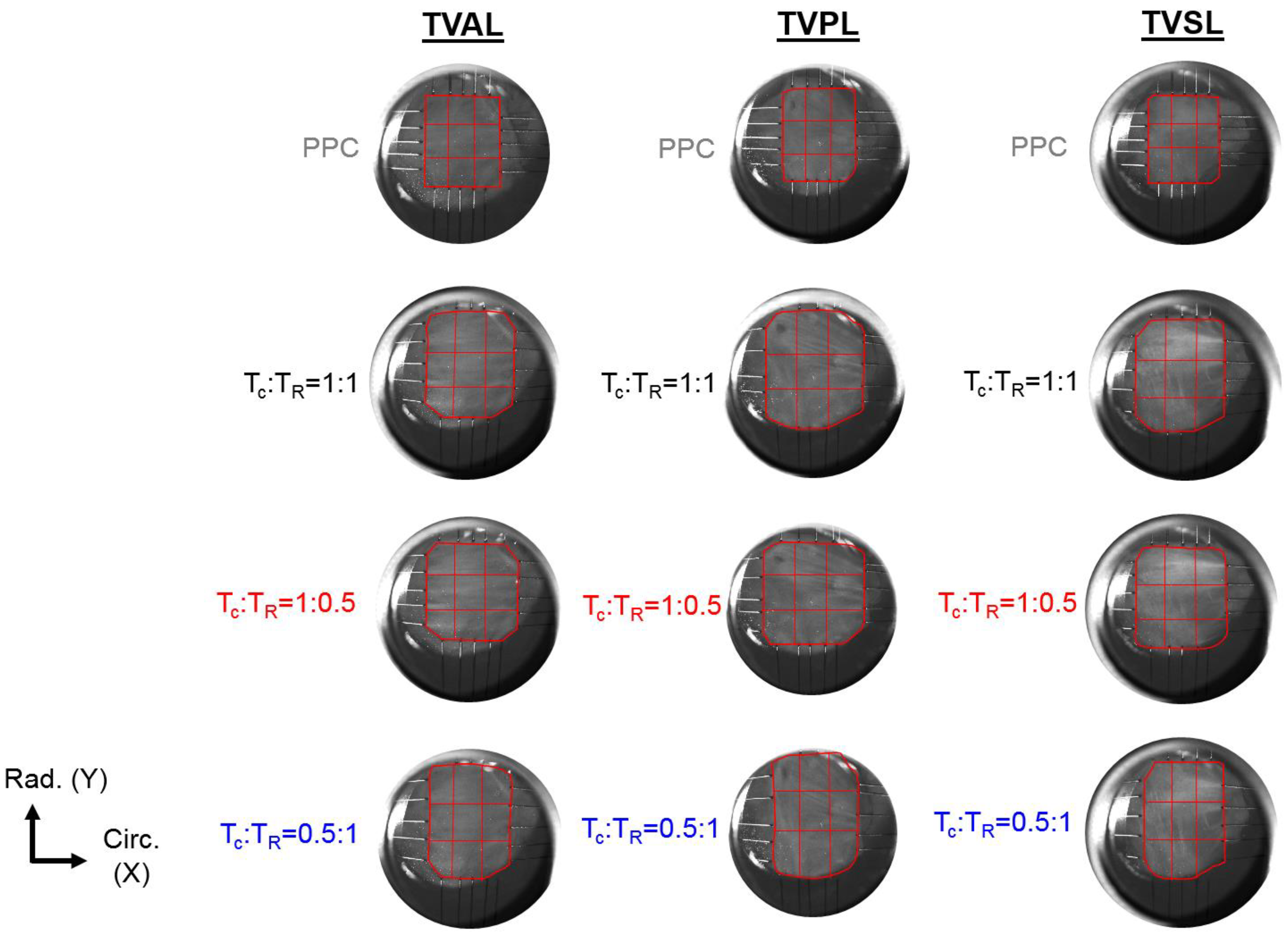 Bioengineering 07 00060 g002 Bioengineering 07 00060 g002