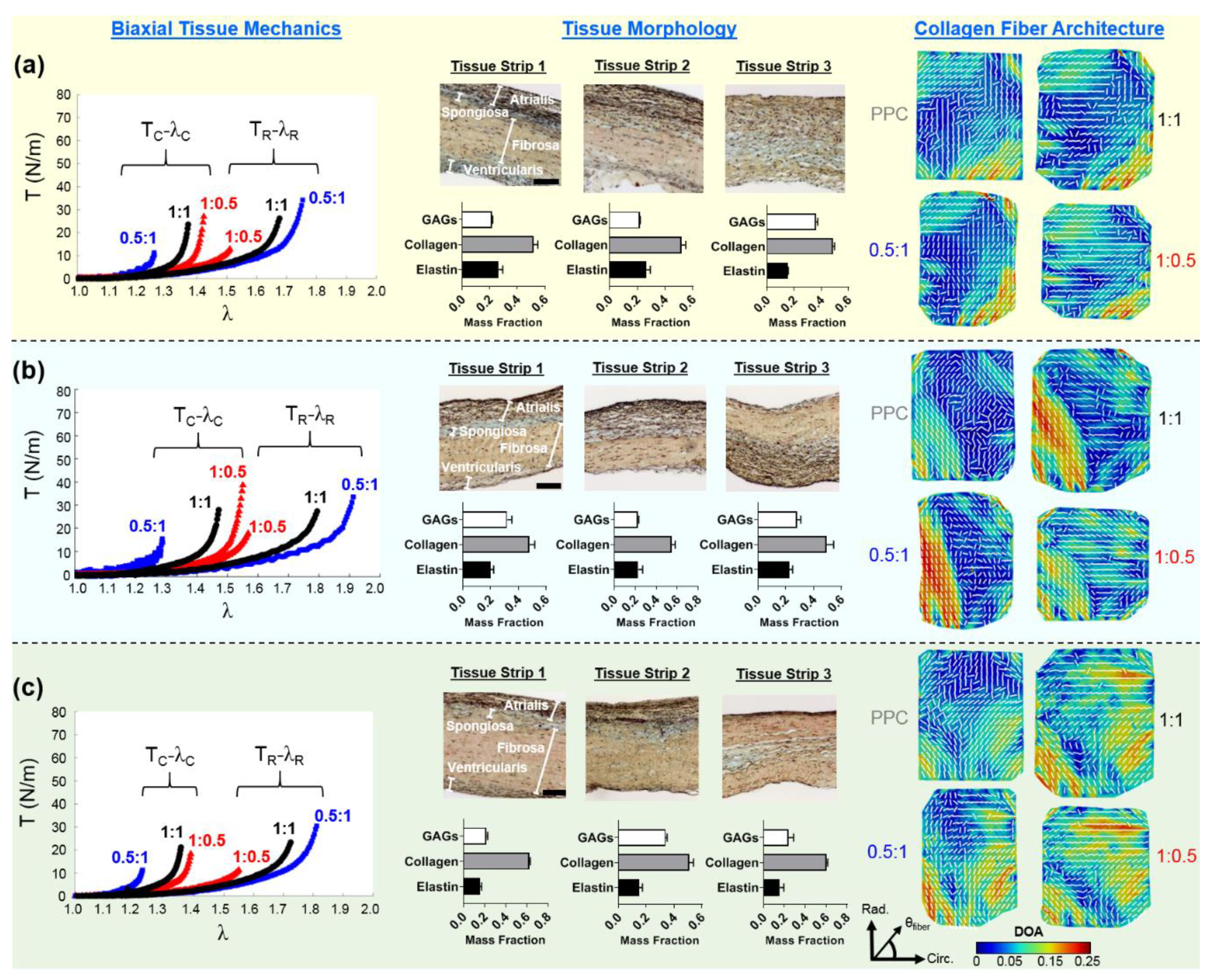 Bioengineering 07 00060 g003 Bioengineering 07 00060 g003