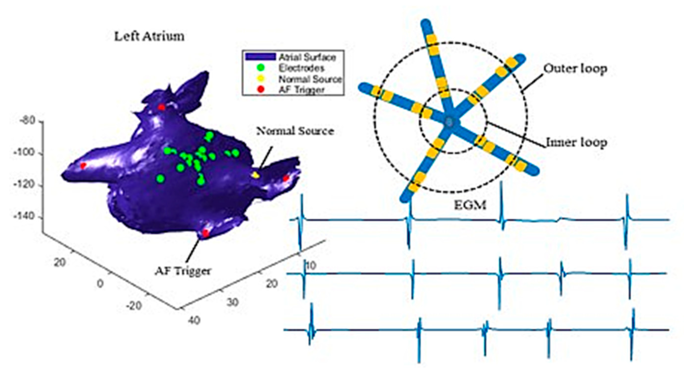 Bioengineering 07 00062 g001